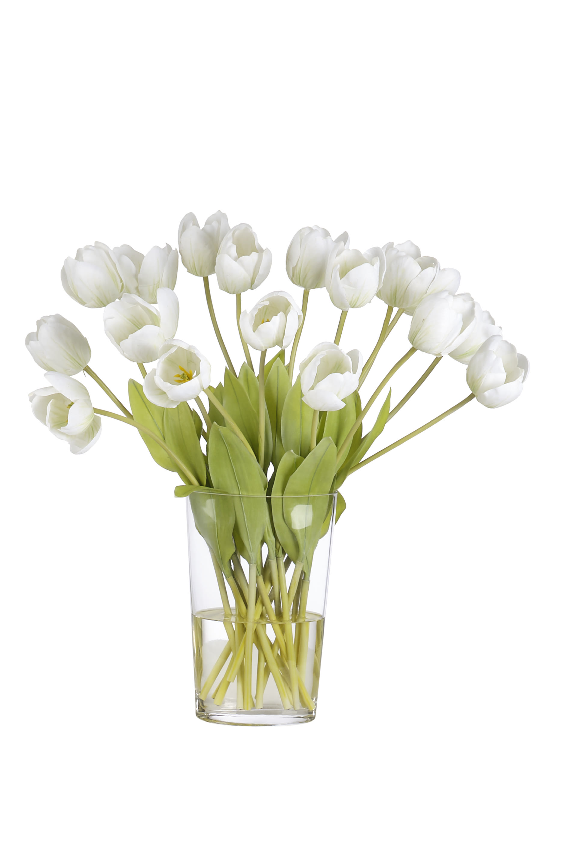 White Tulip in Glass Vase