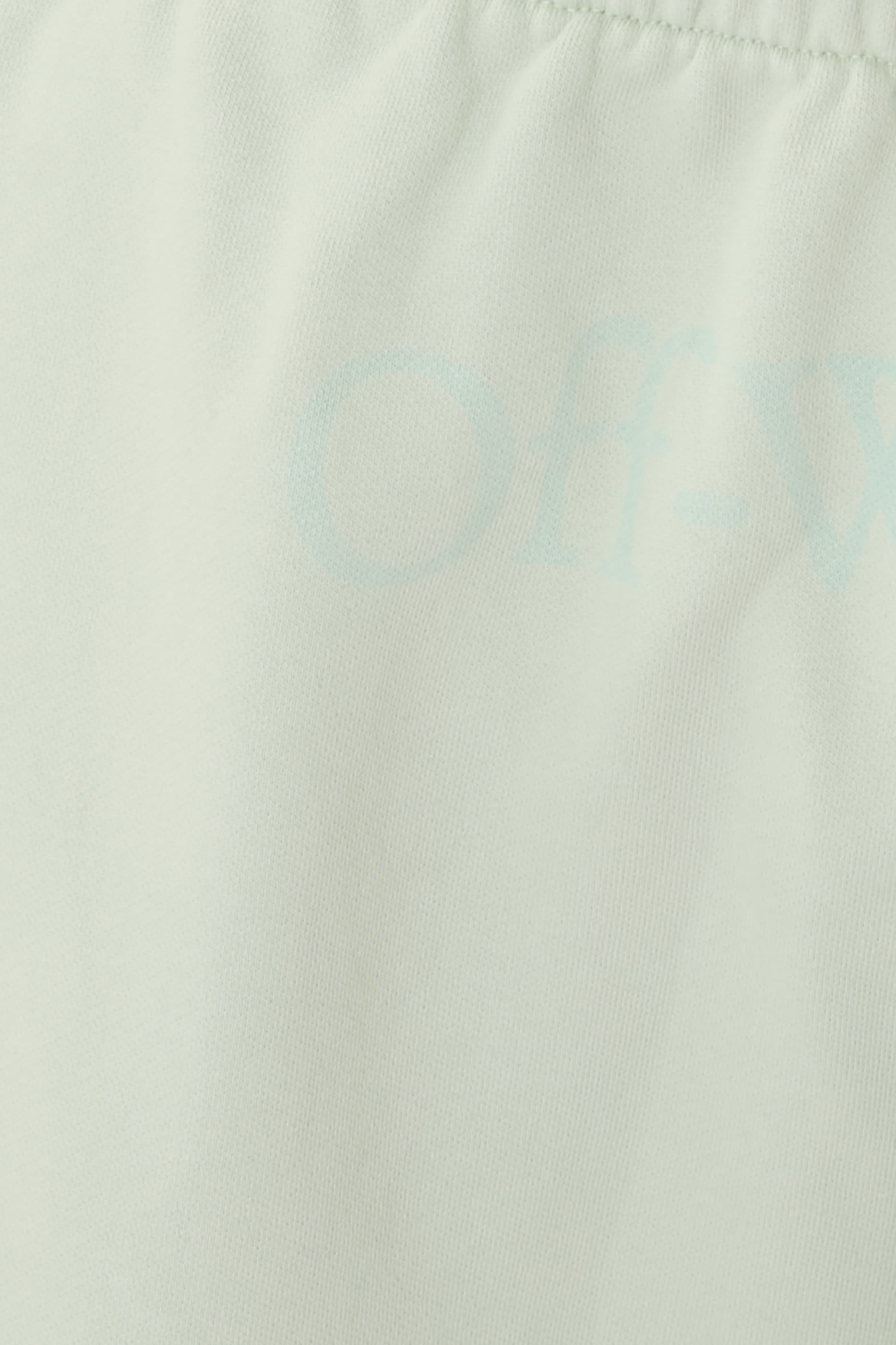 Big Bookish Skate Sweatshort