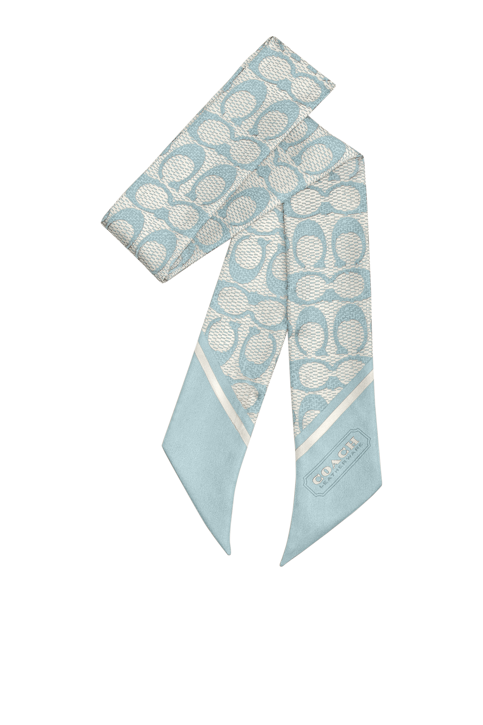 Vintage Signature C Printed Silk Skinny Scarf