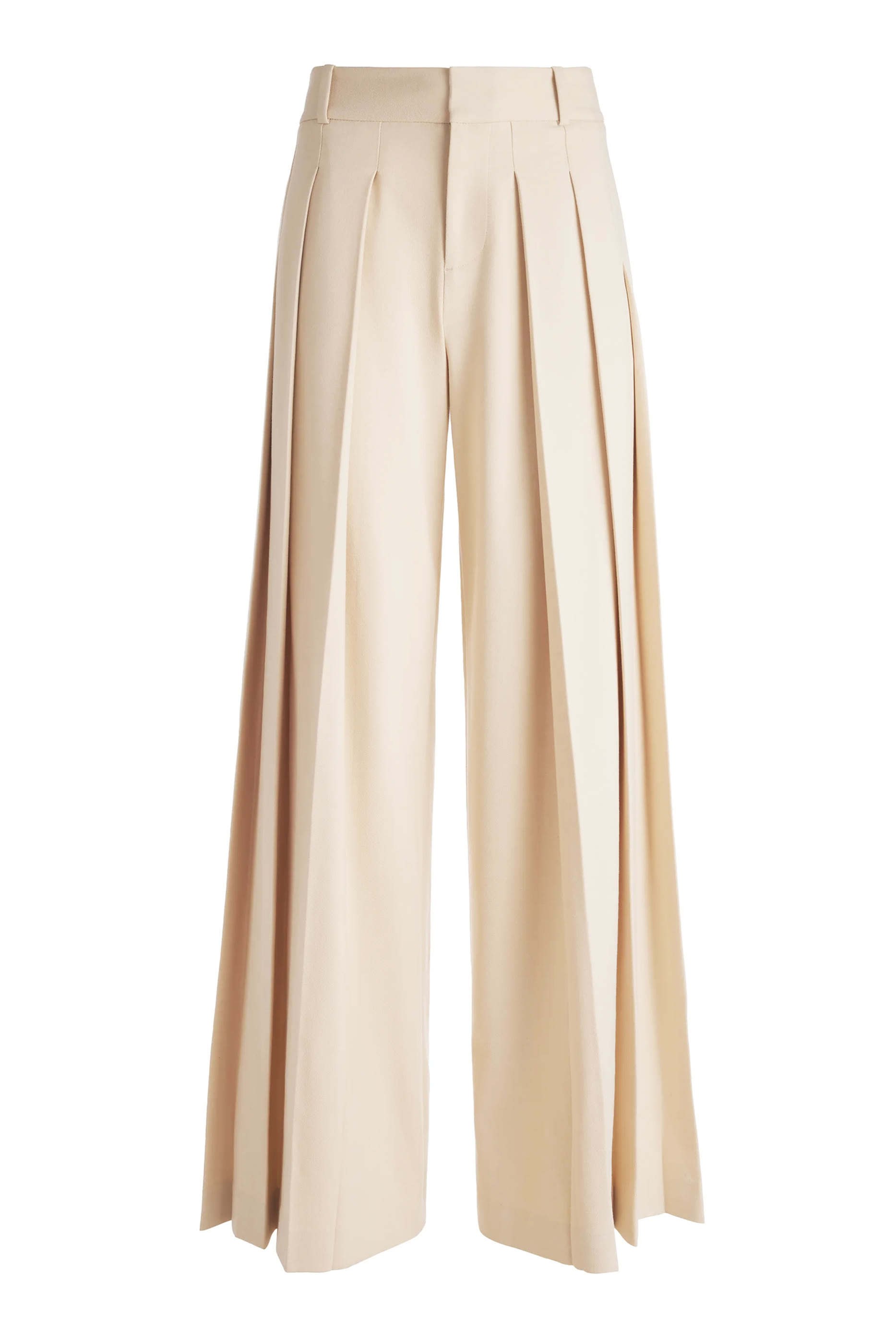 Simon High Rise Wide Leg Pleated Pants