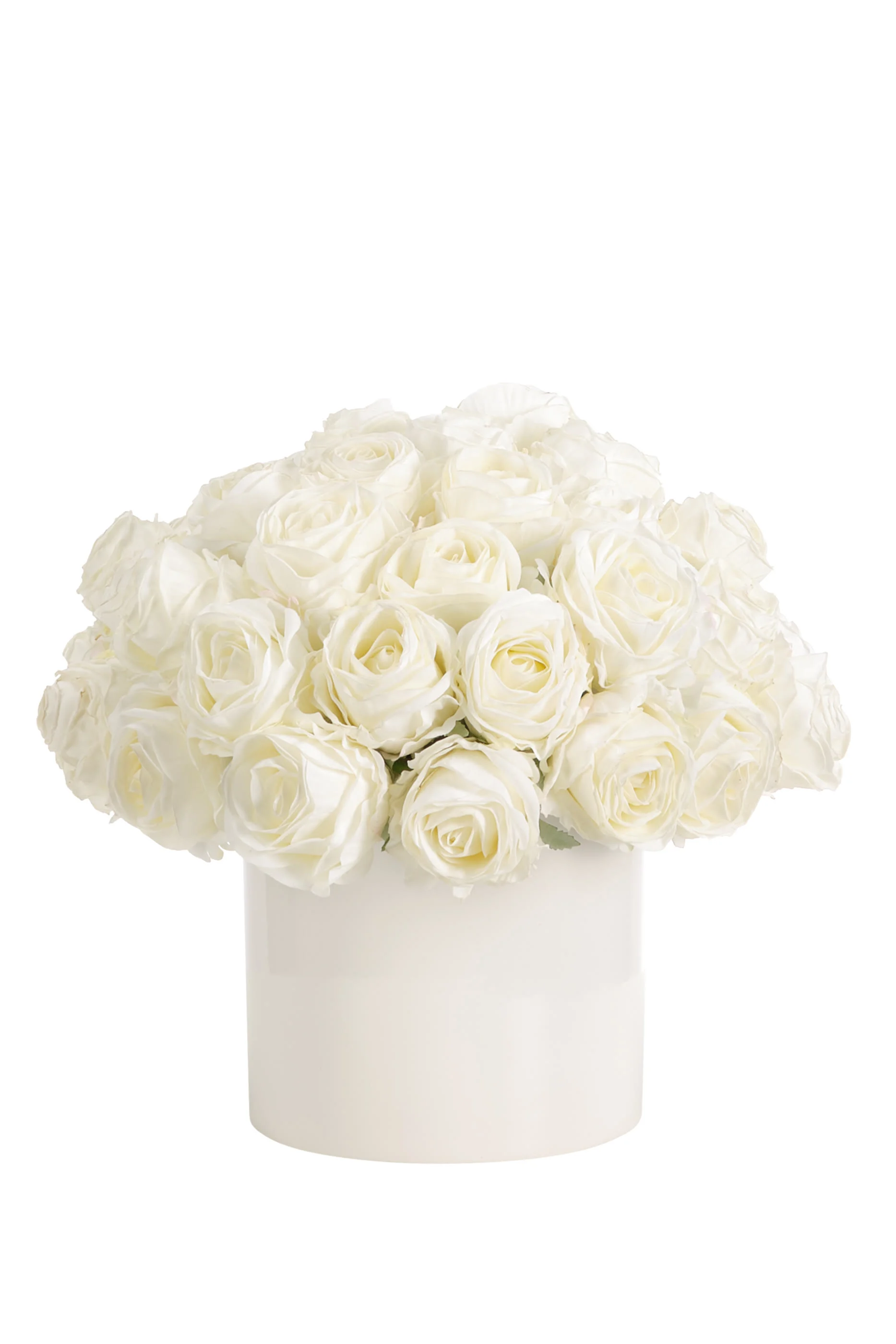 Roses in Ceramic Pot