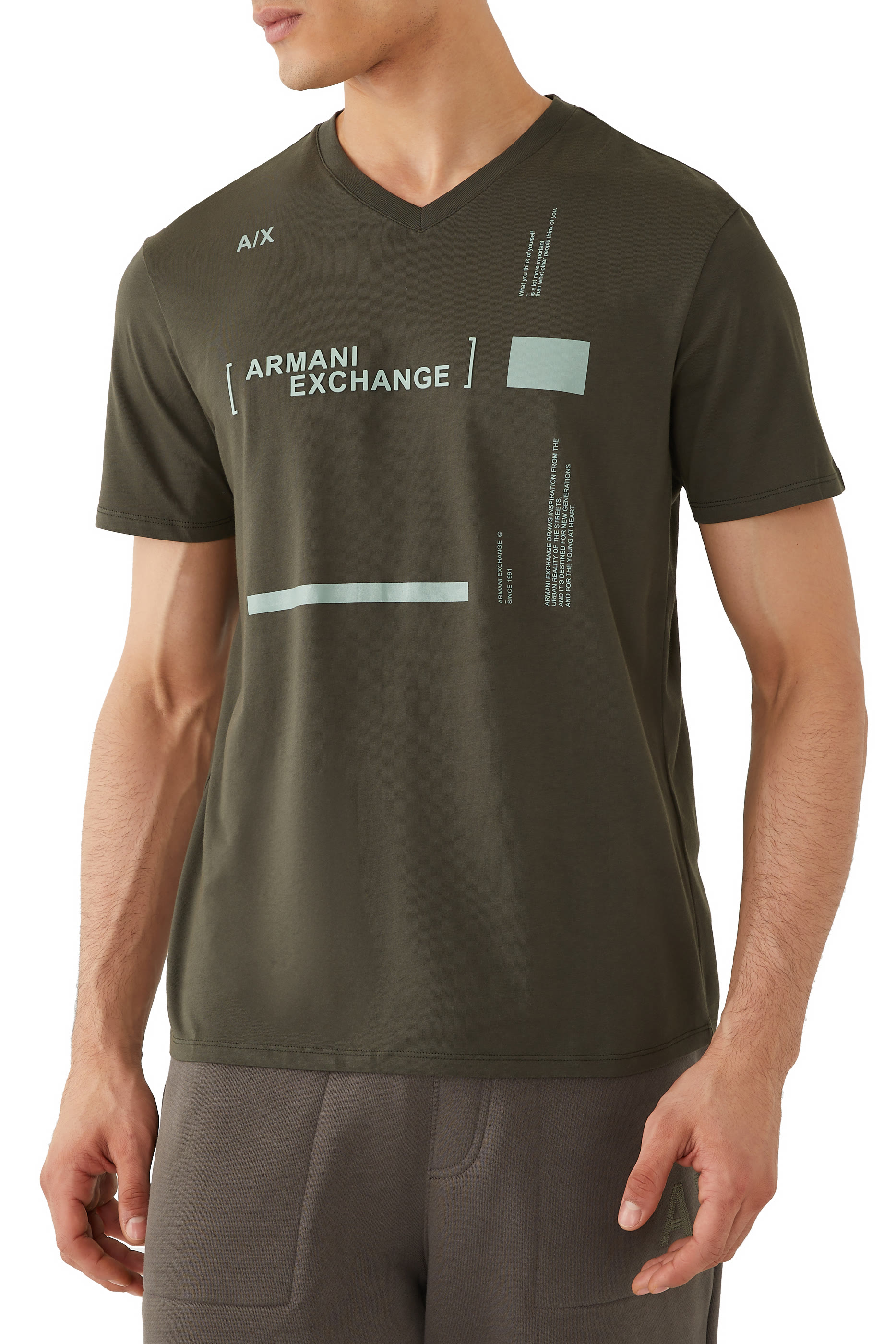 Slim Fit V-Neck T-Shirt