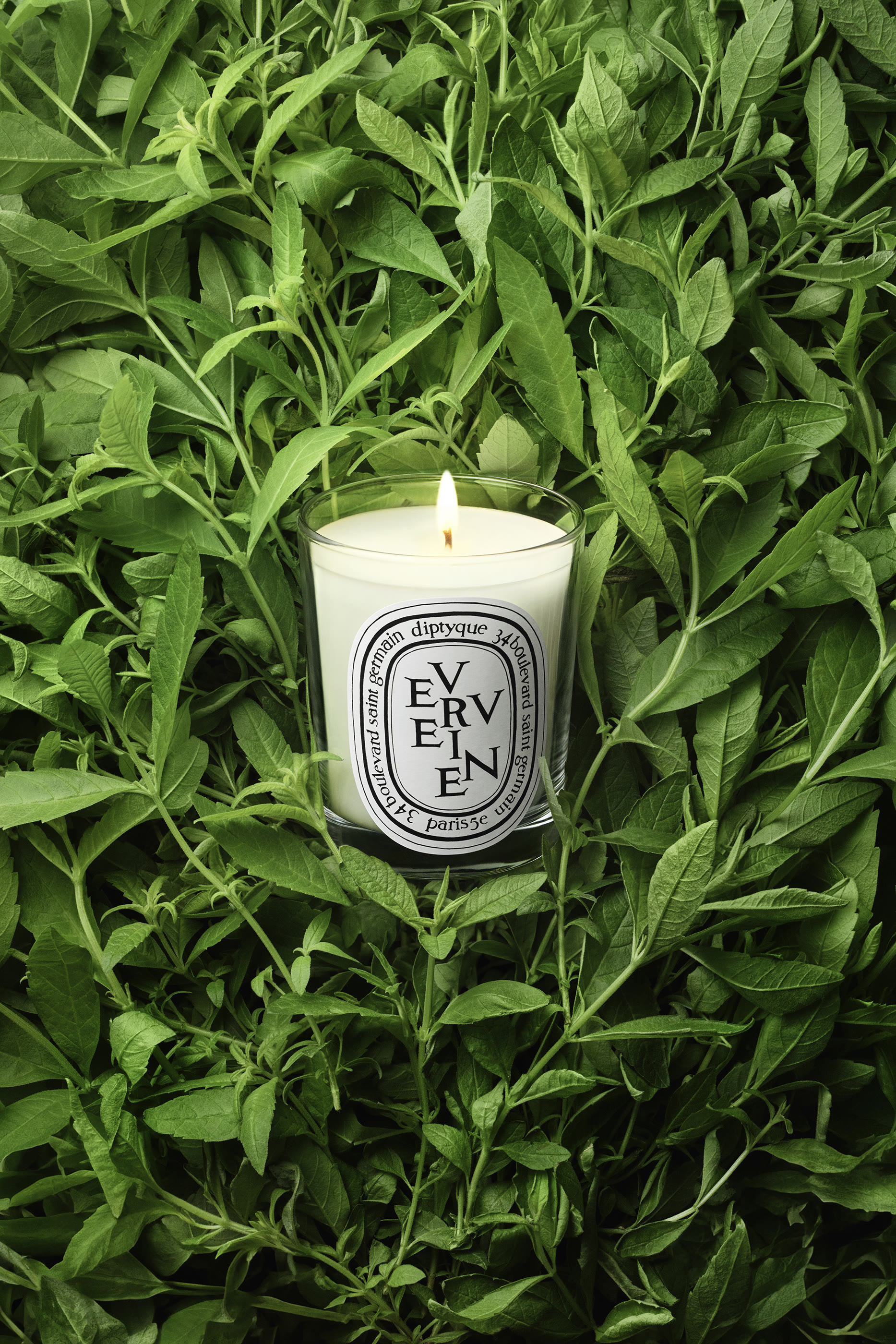 Verveine Candle