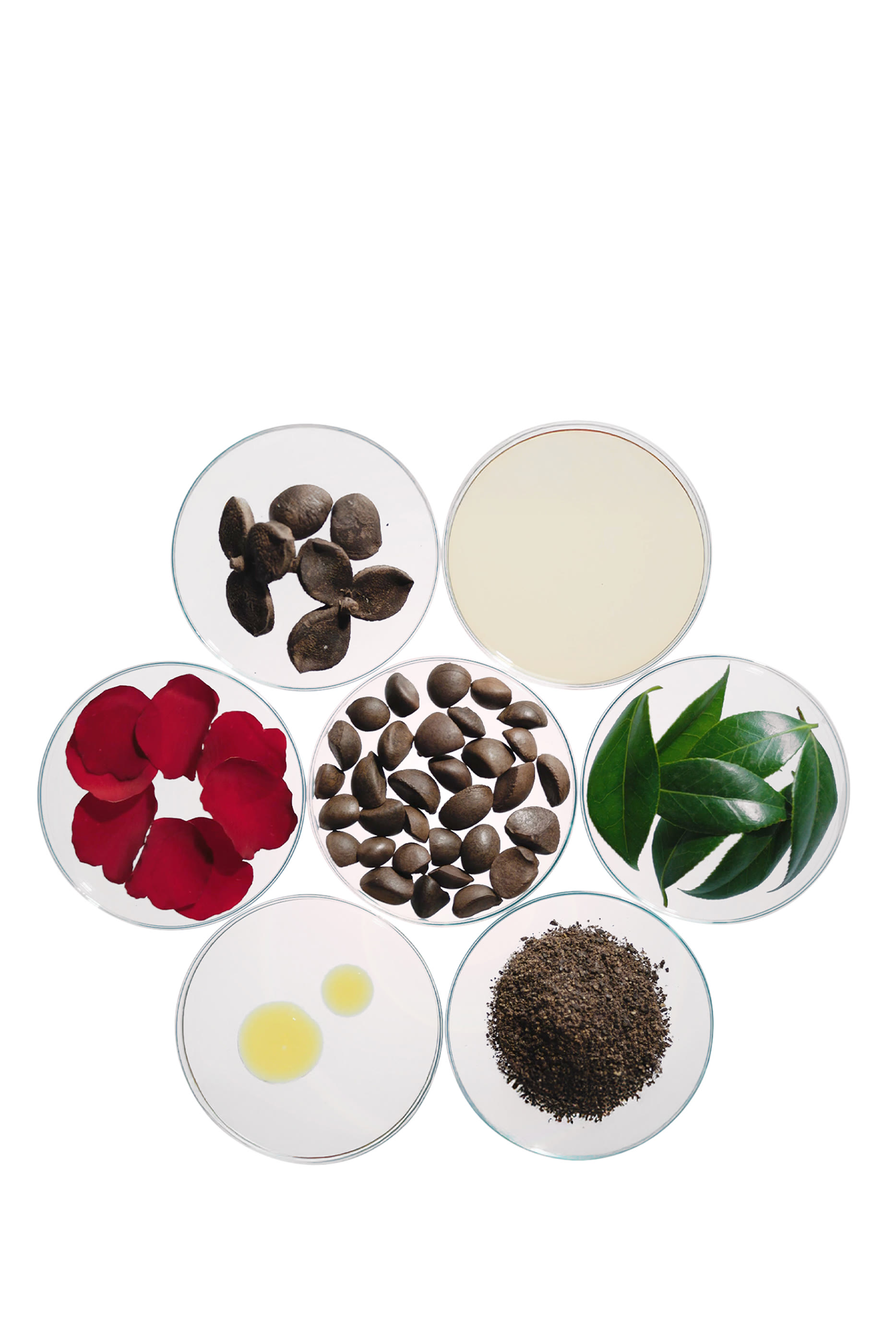 Ultimune Power Infusing Serum