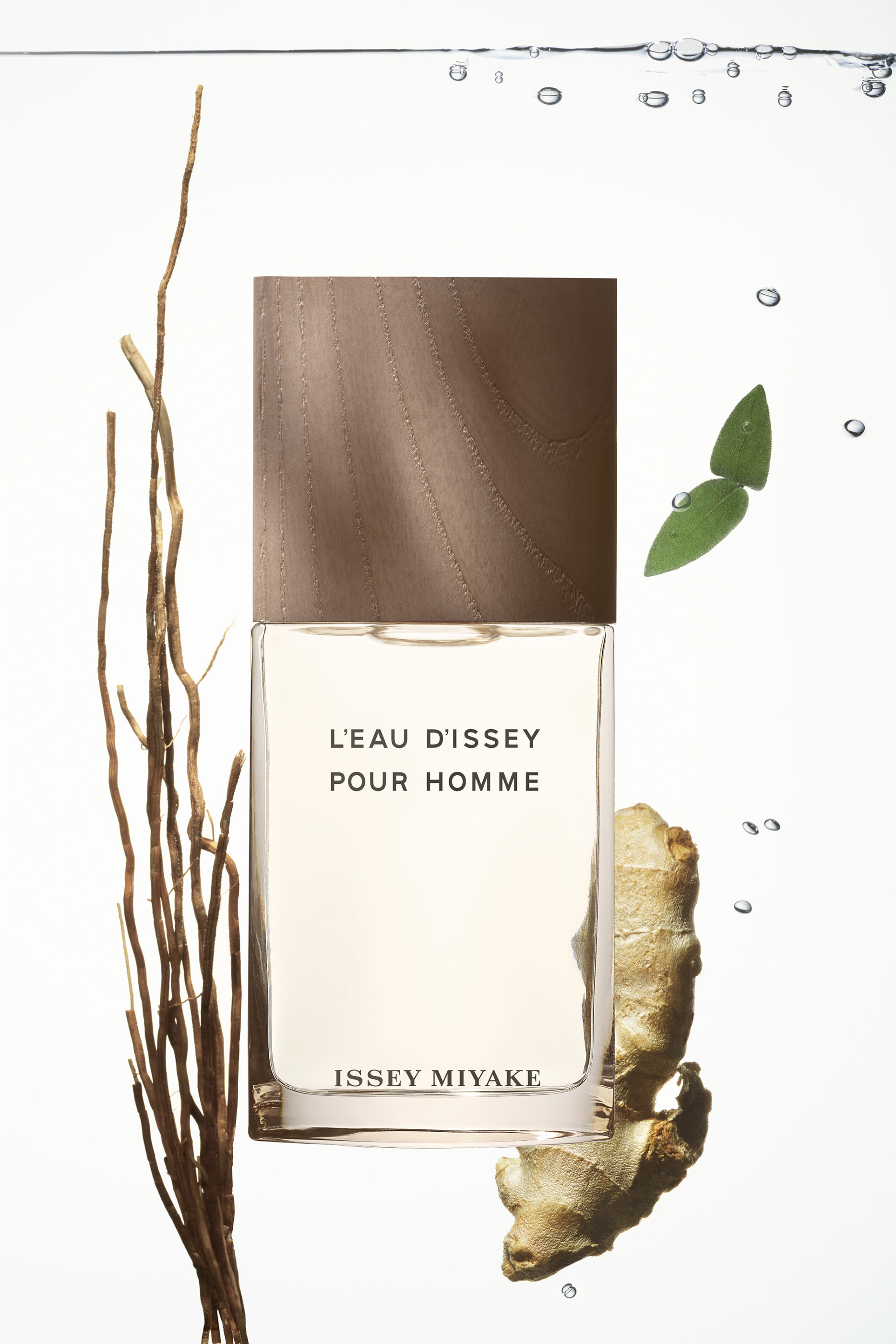 L'Eau D'Issey Pour Homme Vetiver Eau De Toilette