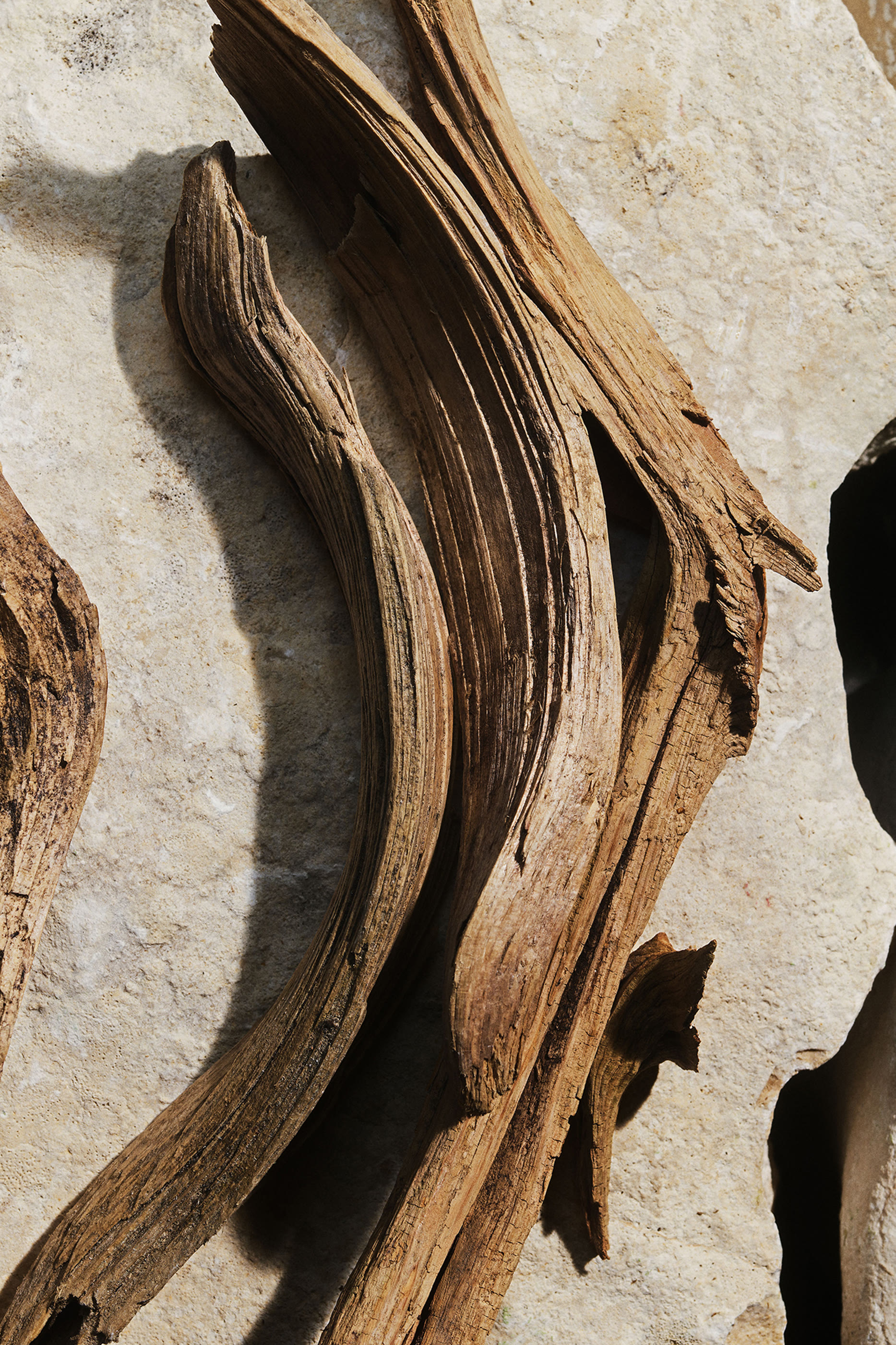 Light Blue Eau de Toilette