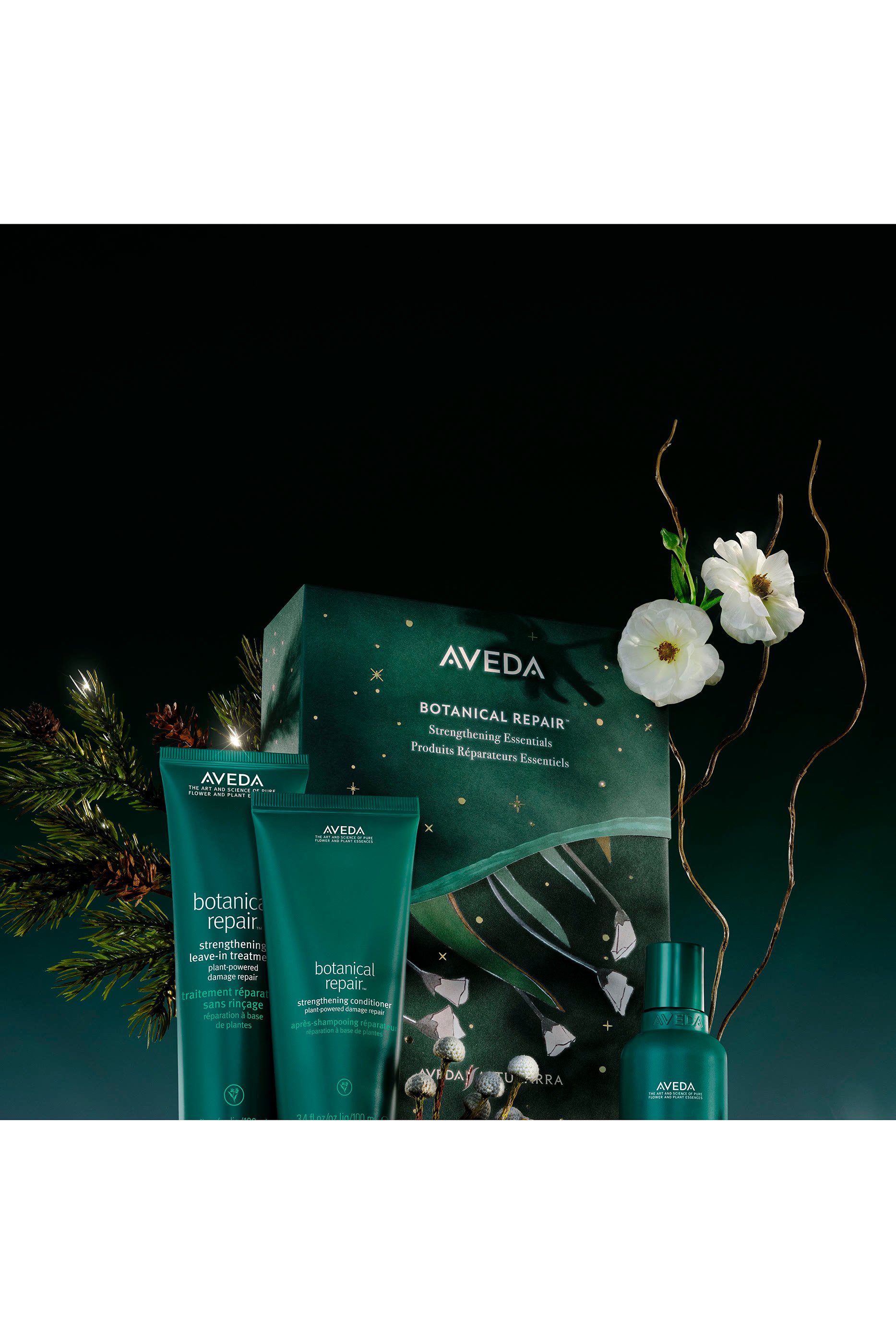 Botanical Repair Strengthening Essentials Gift Set