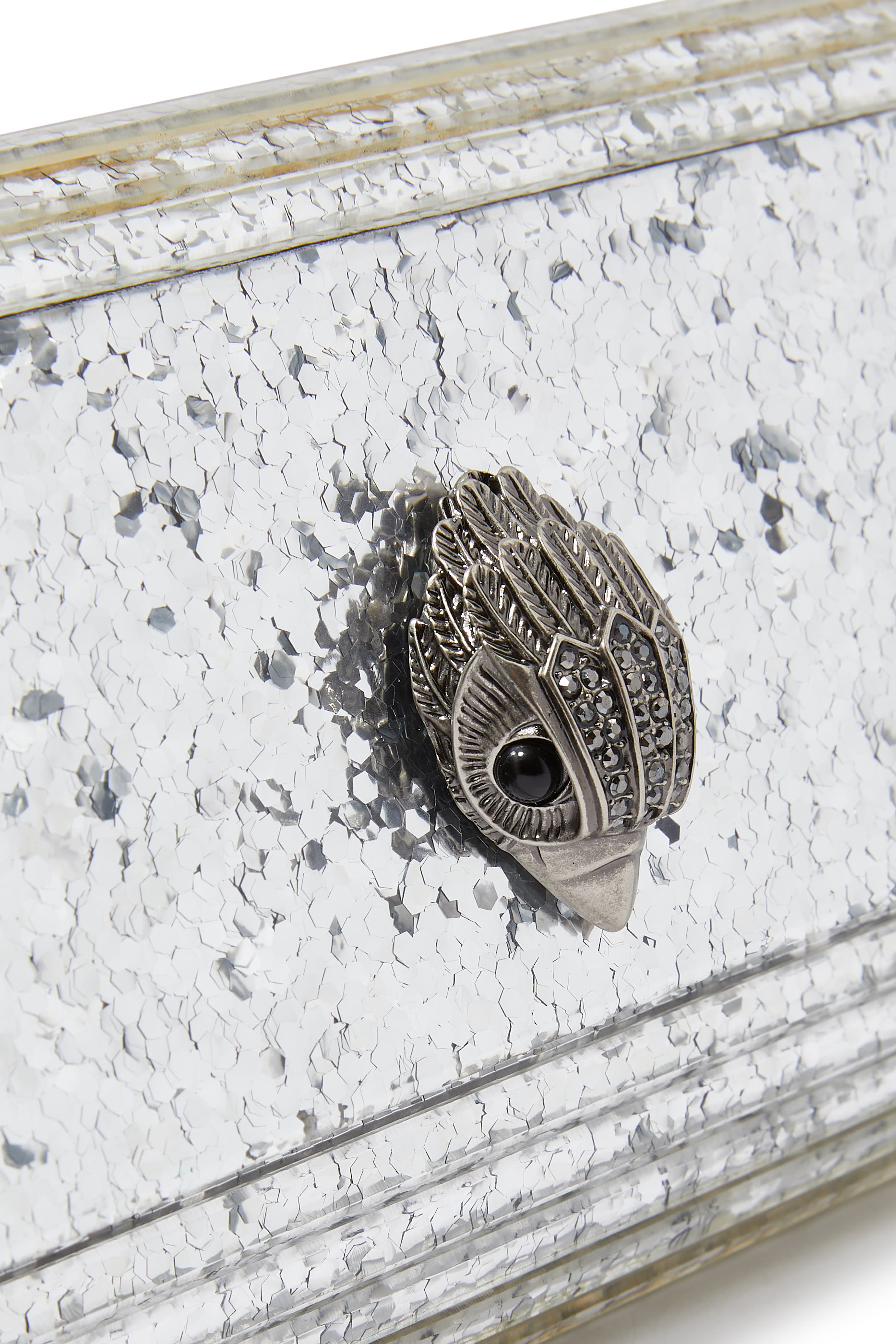 Party Eagle Plexi Envelope Clutch