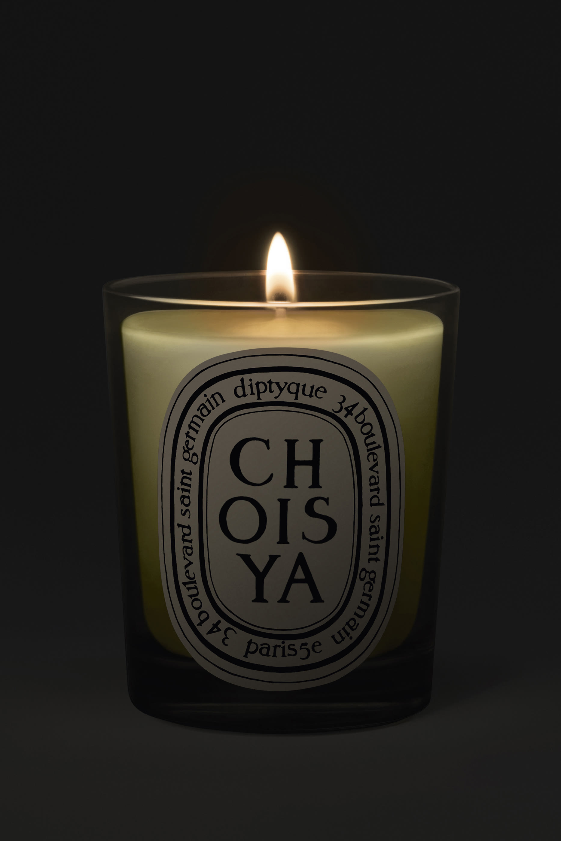 Choisya Candle