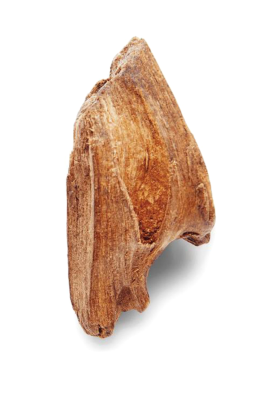 Code Eau de Toilette