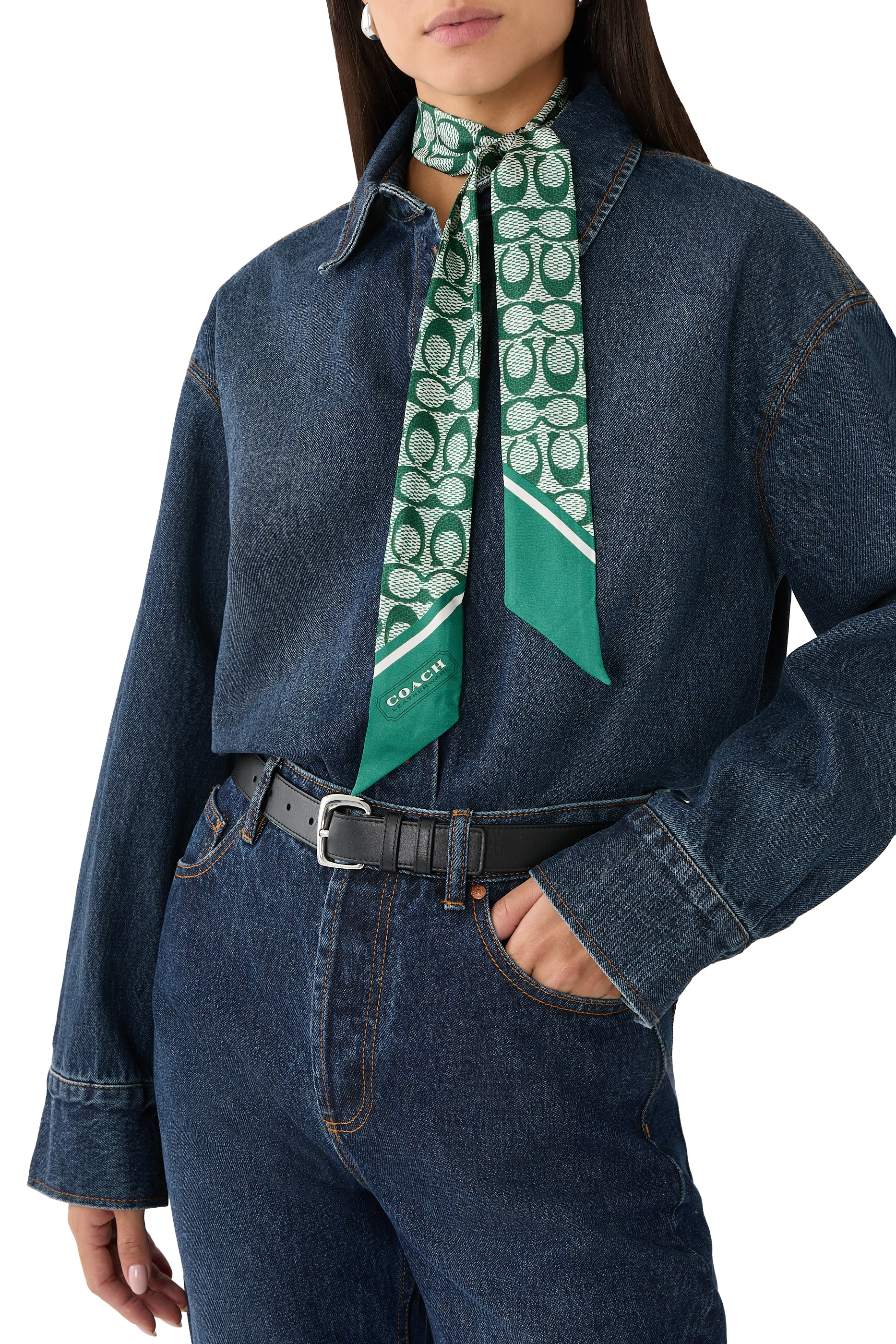 Vintage Signature C Printed Silk Skinny Scarf