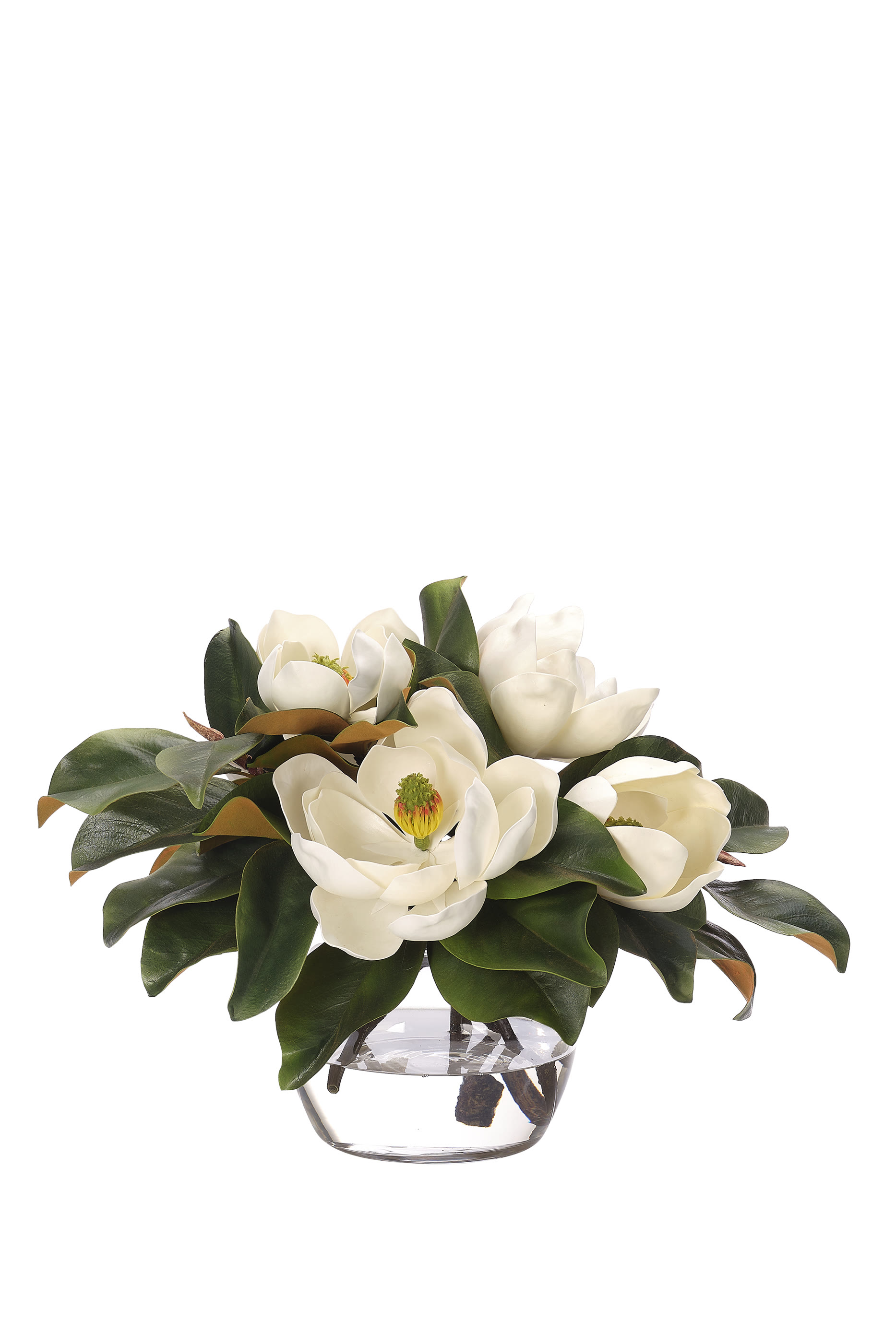 Magnolia - Faux Watergarden