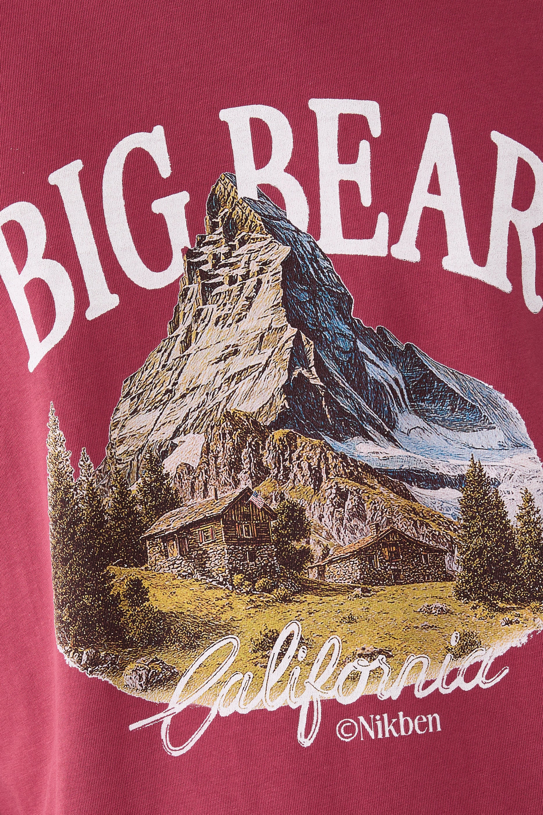 Big Bear T-Shirt 