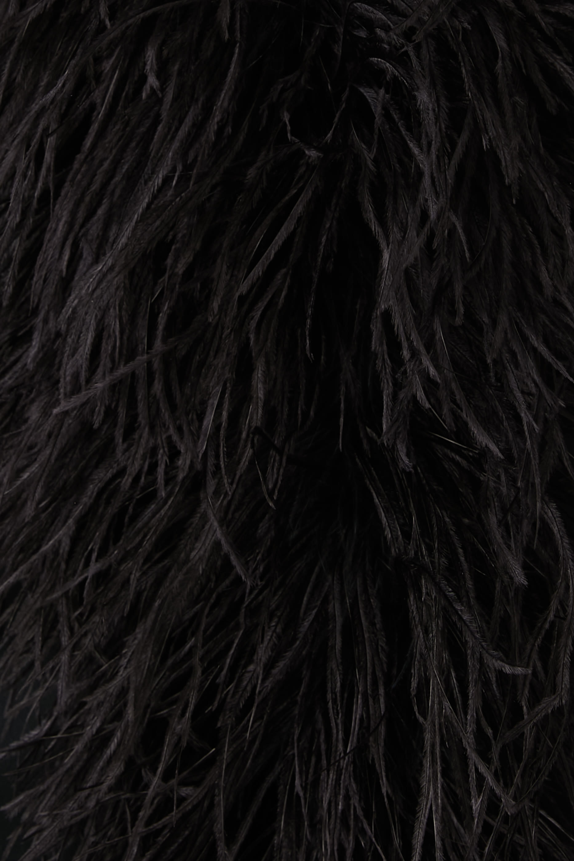 Feathered Eternity Dress