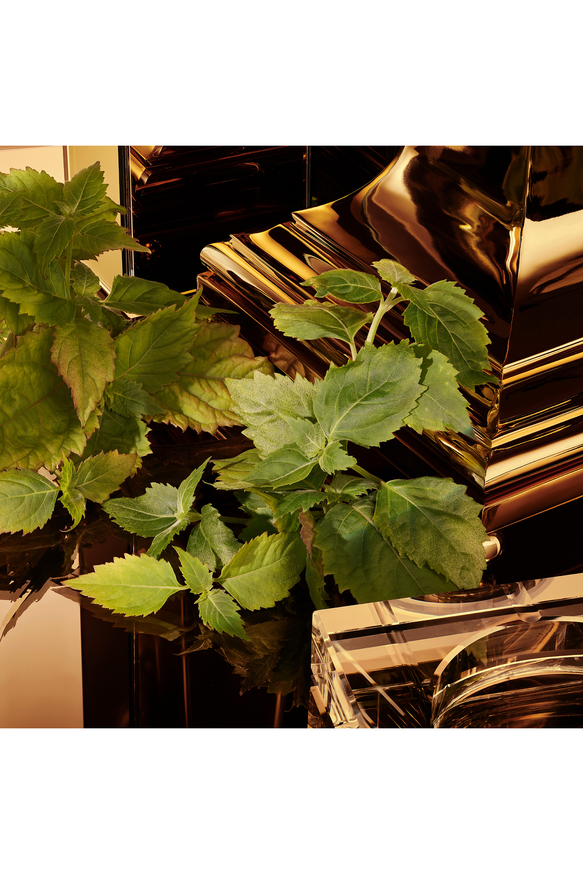 The One for Men Gold Eau de Parfum Intense