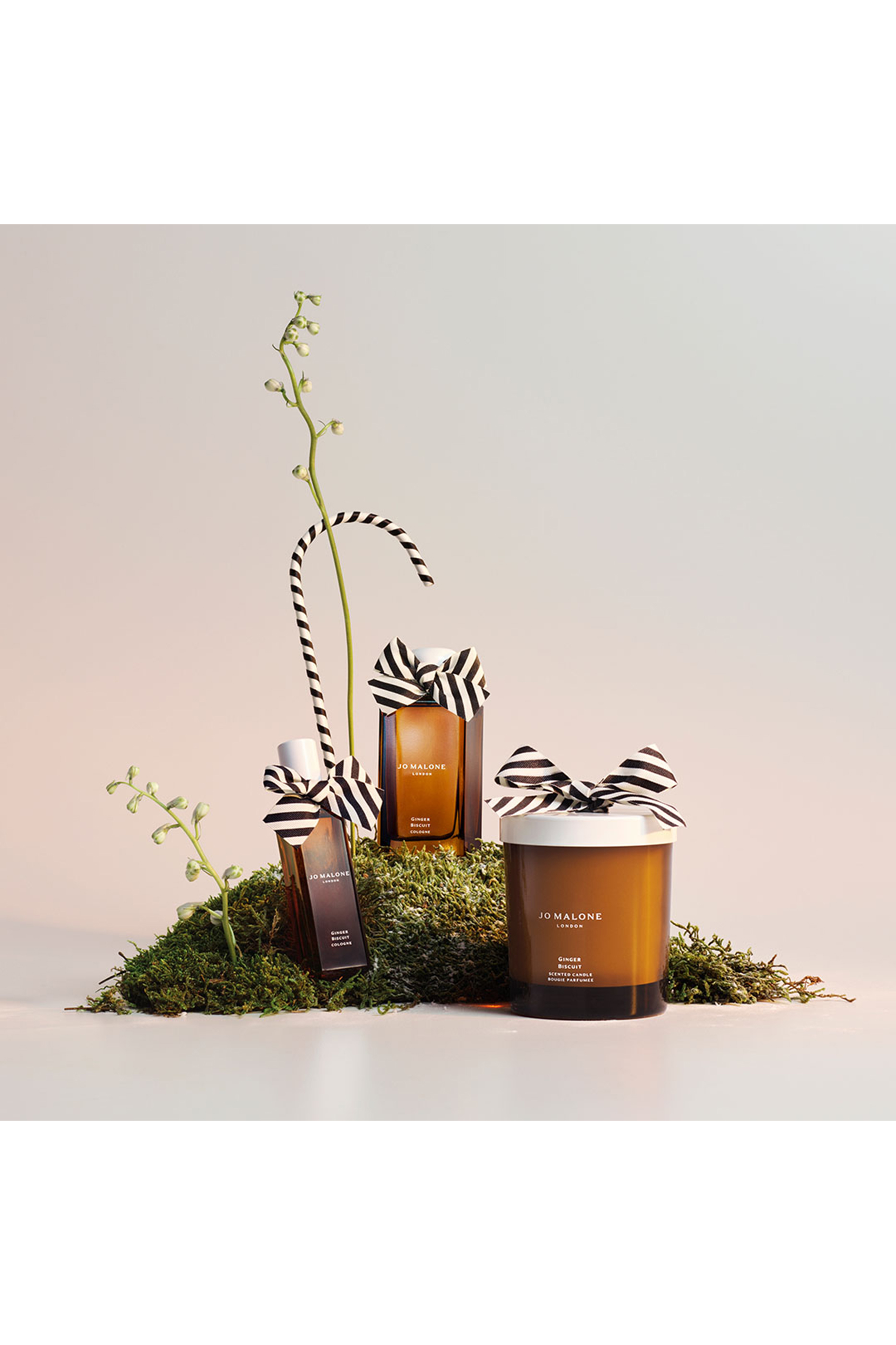 Ginger Biscuit Home Candle