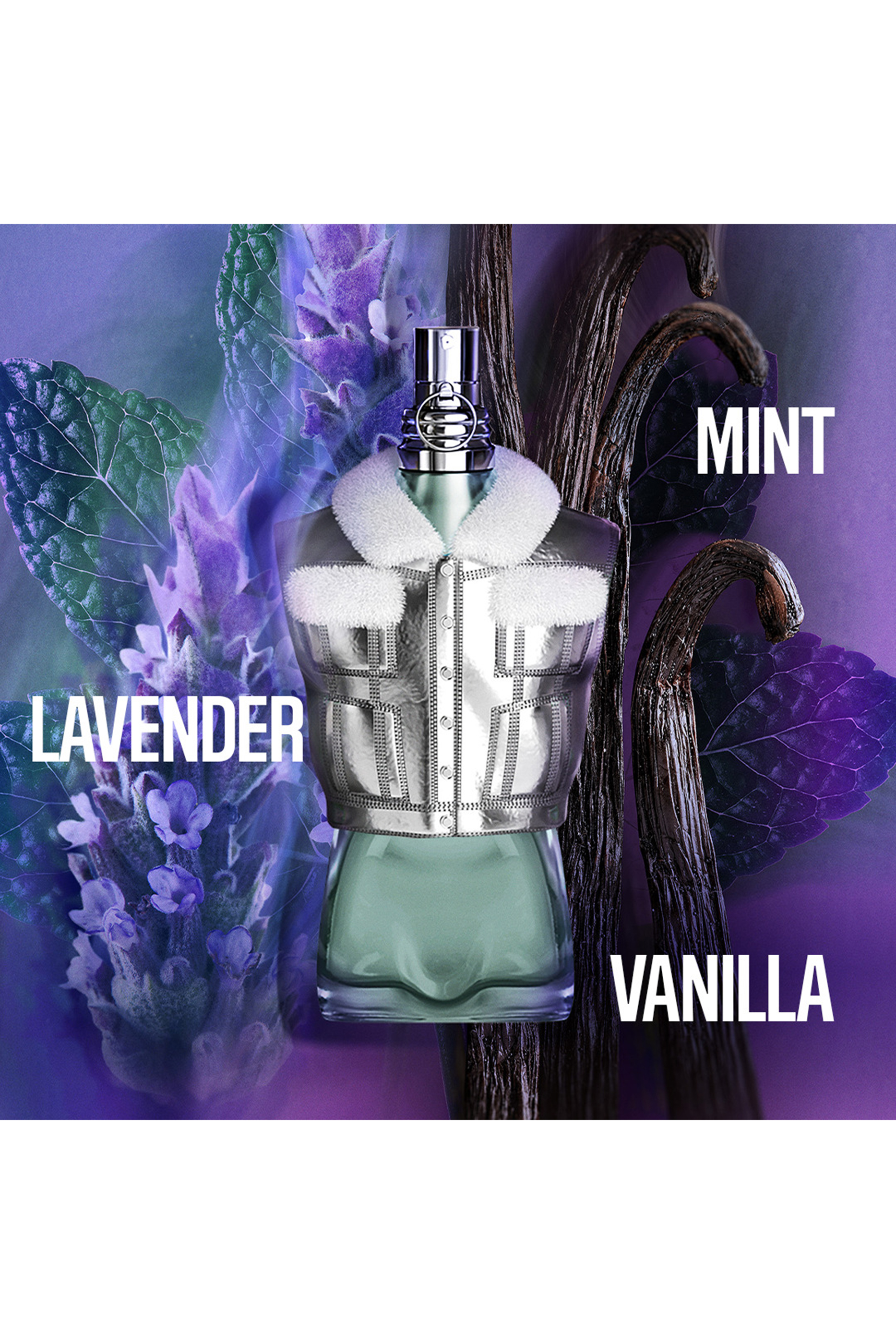 Le Male Collector Eau de Toilette