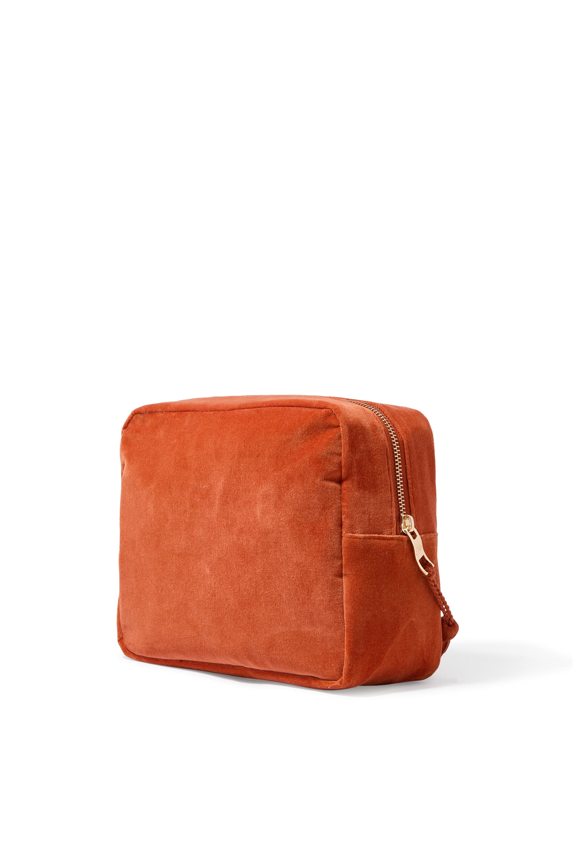 Mystical Lion Wash Bag