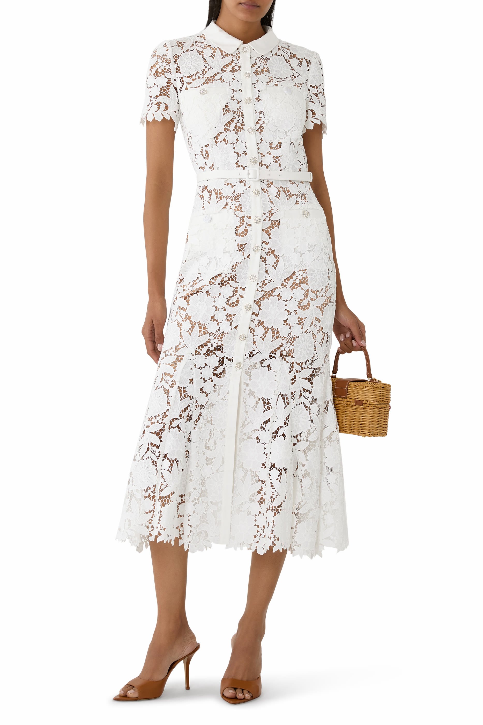 Lace Collared Midi Dress