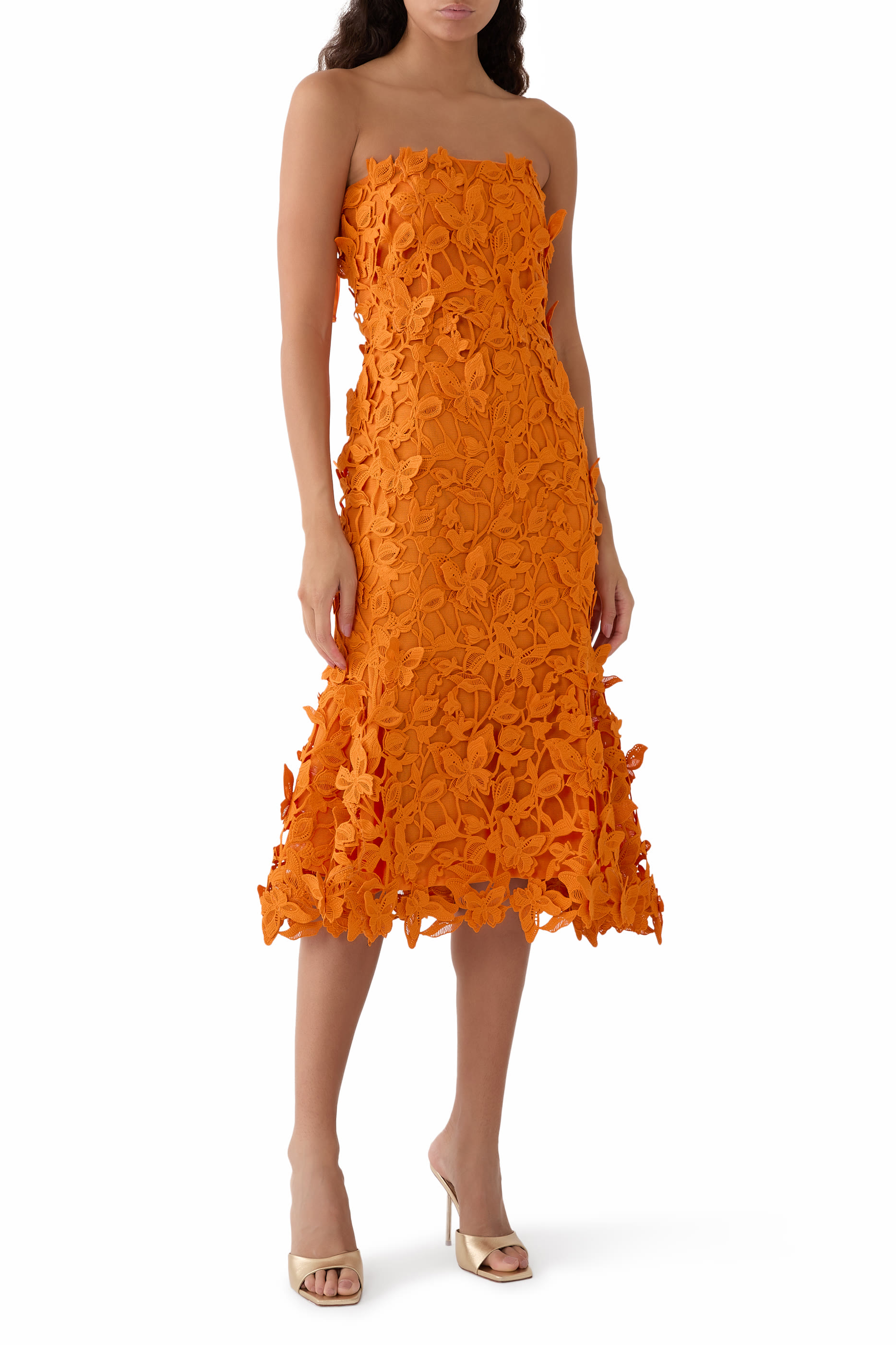 Fleurella Applique Midi Dress