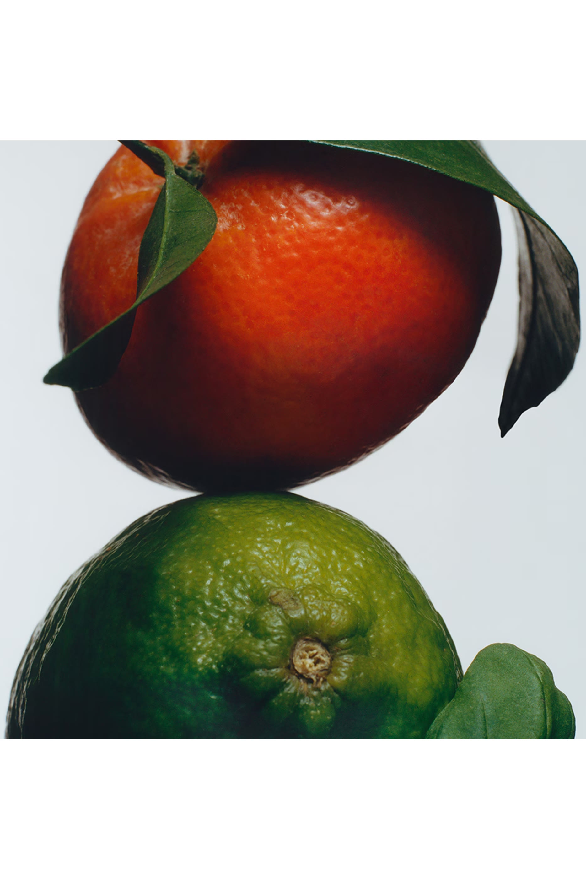 Lime Basil and Mandarin Eau de Toilette