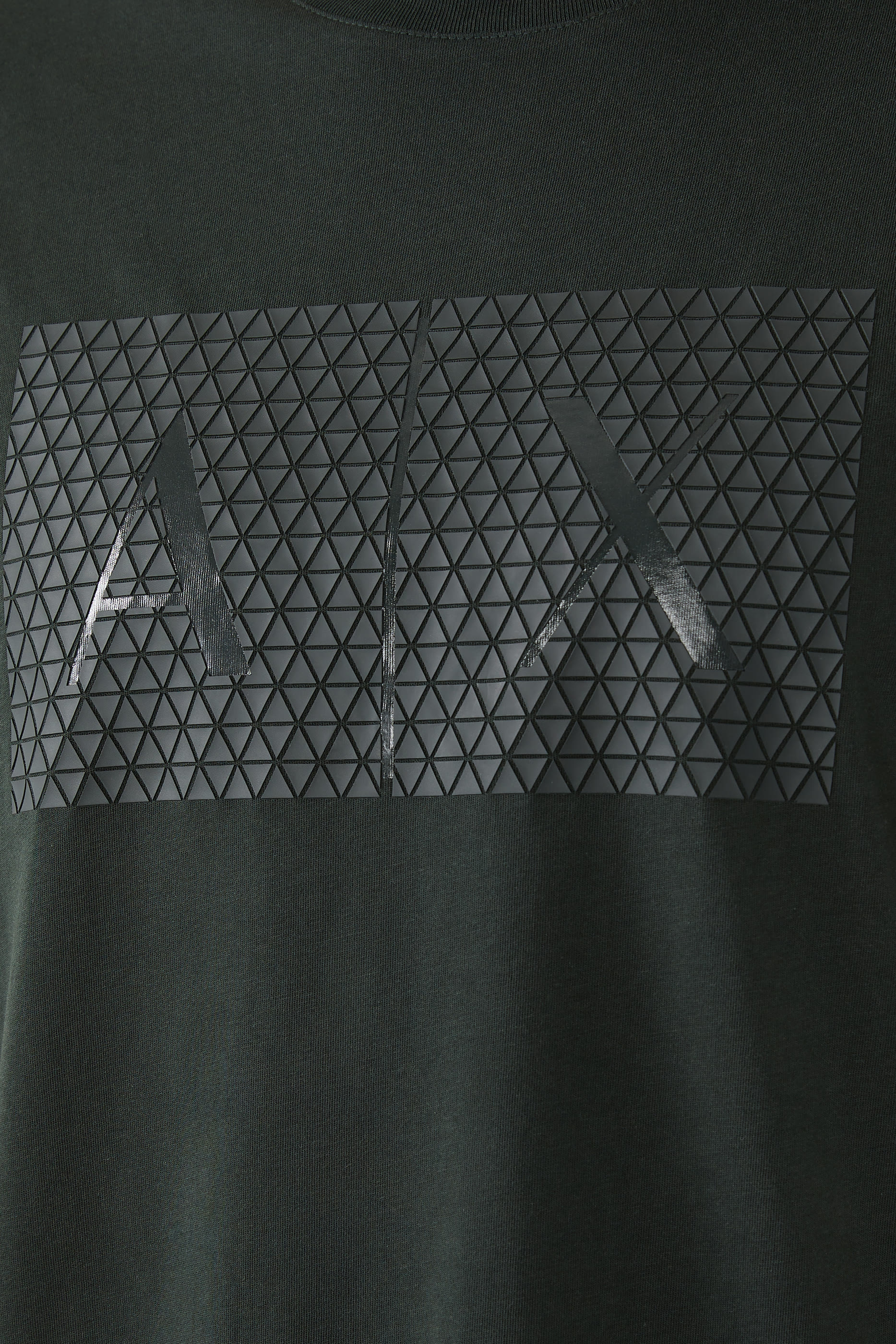 Triangulation Logo Print T-Shirt