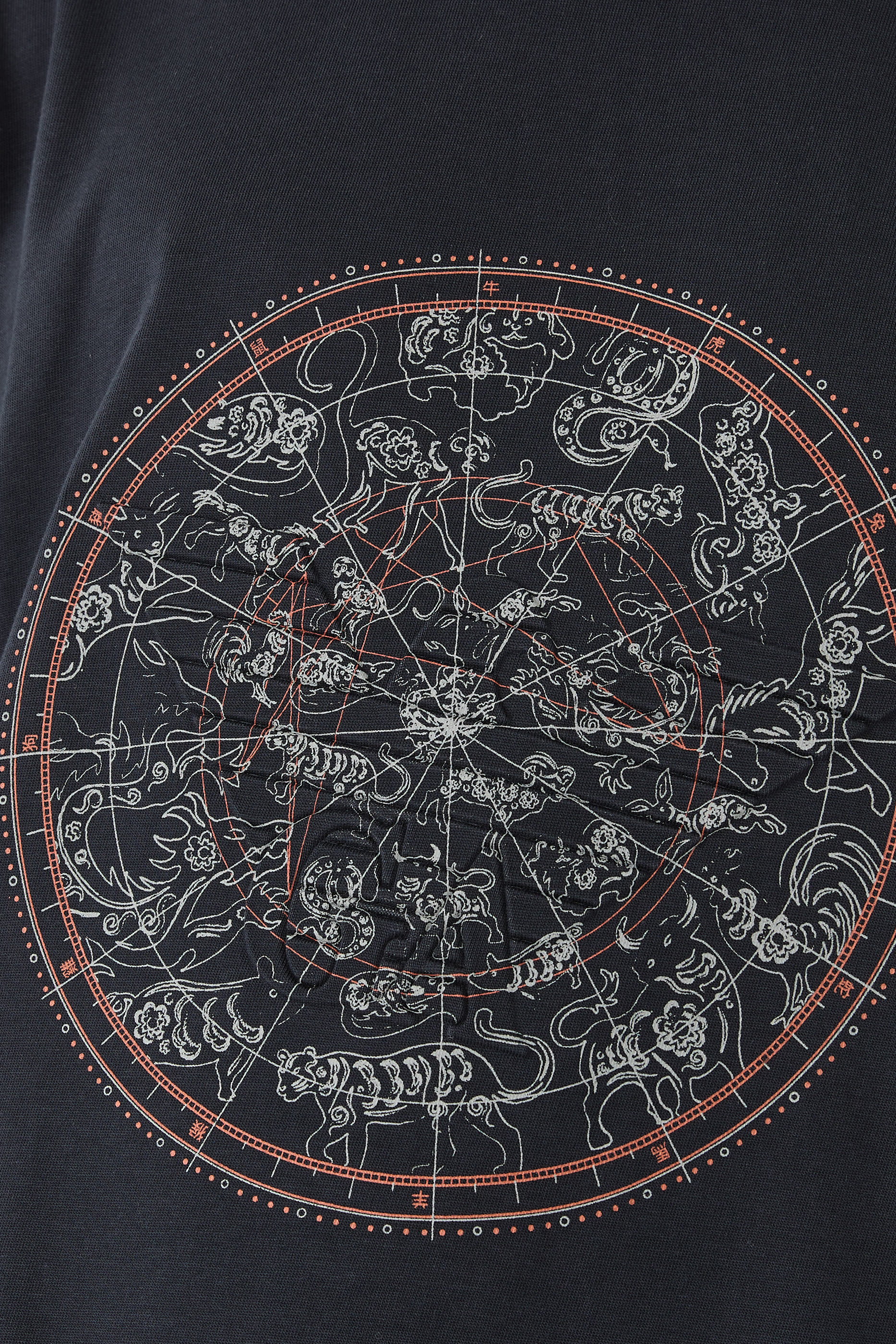 Heavy Jersey T-Shirt with Print and Eagle Hong Kong Capsule Collection 