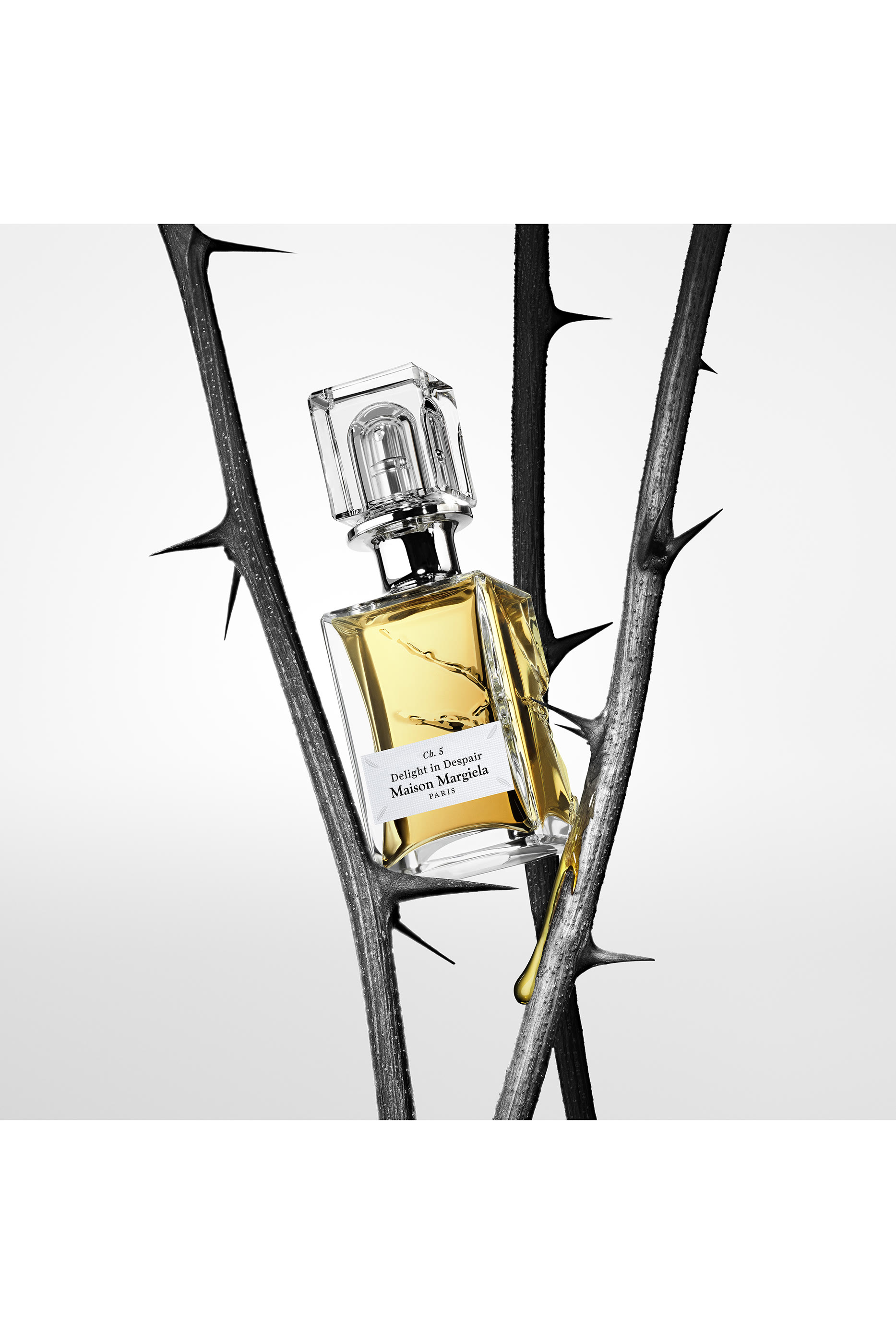 Ch.5: The Scentsorium Delight in Despair Parfum