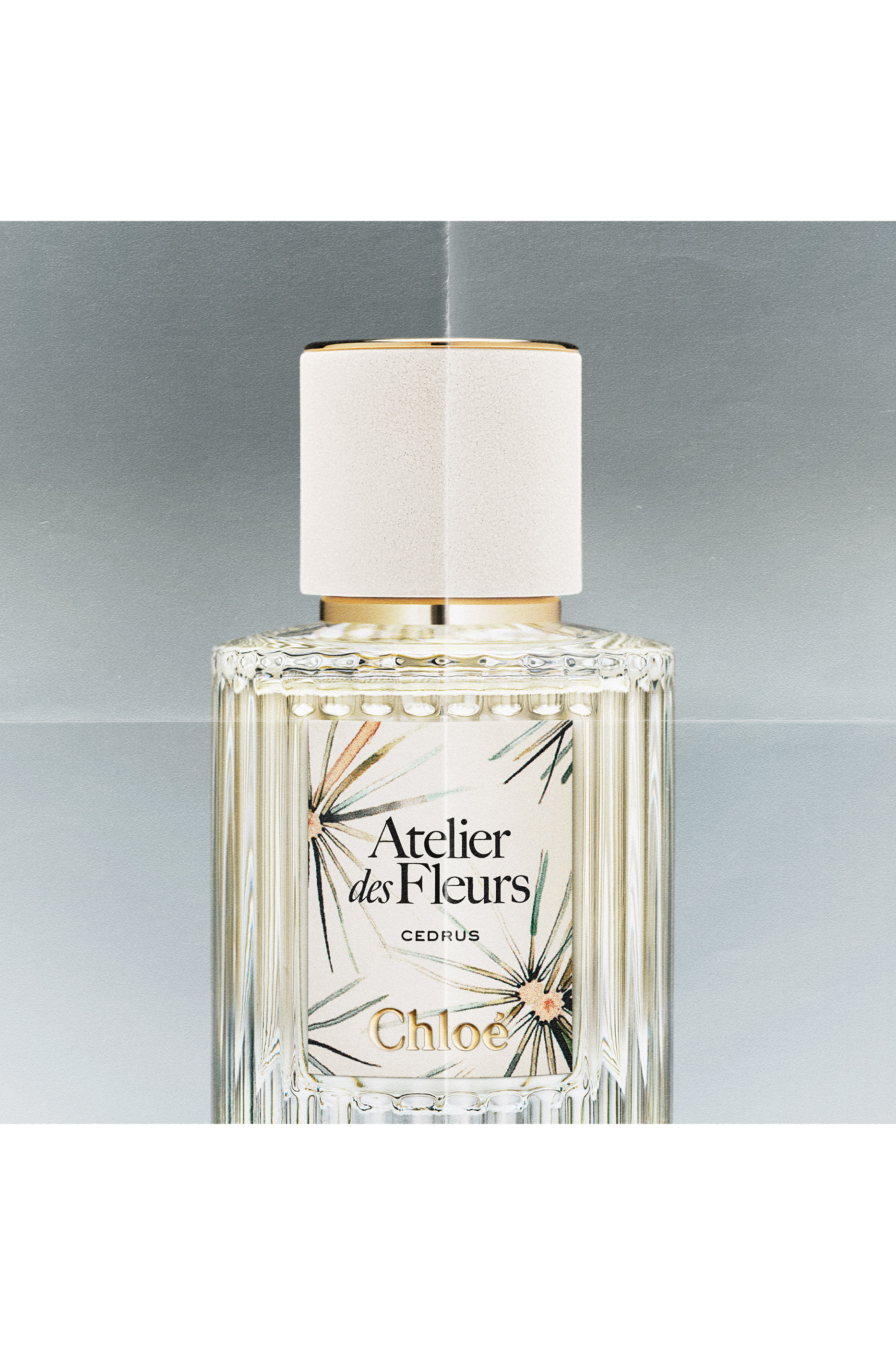 Atelier des Fleurs Cedrus Limited Edition Eau de Parfum 
