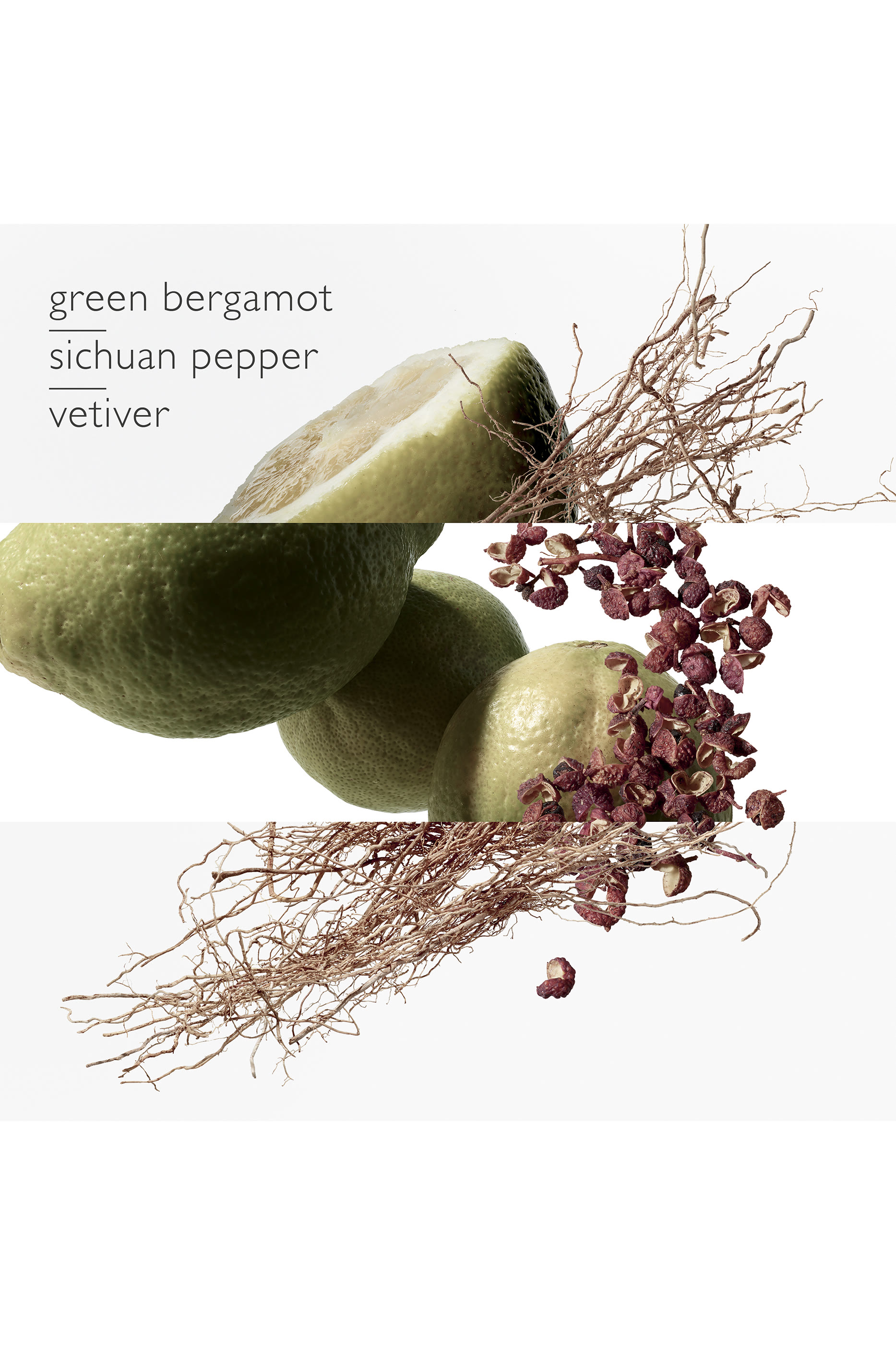 Terre d'Herm&egrave;s Eau Intense V&eacute;tiver, Eau de parfum