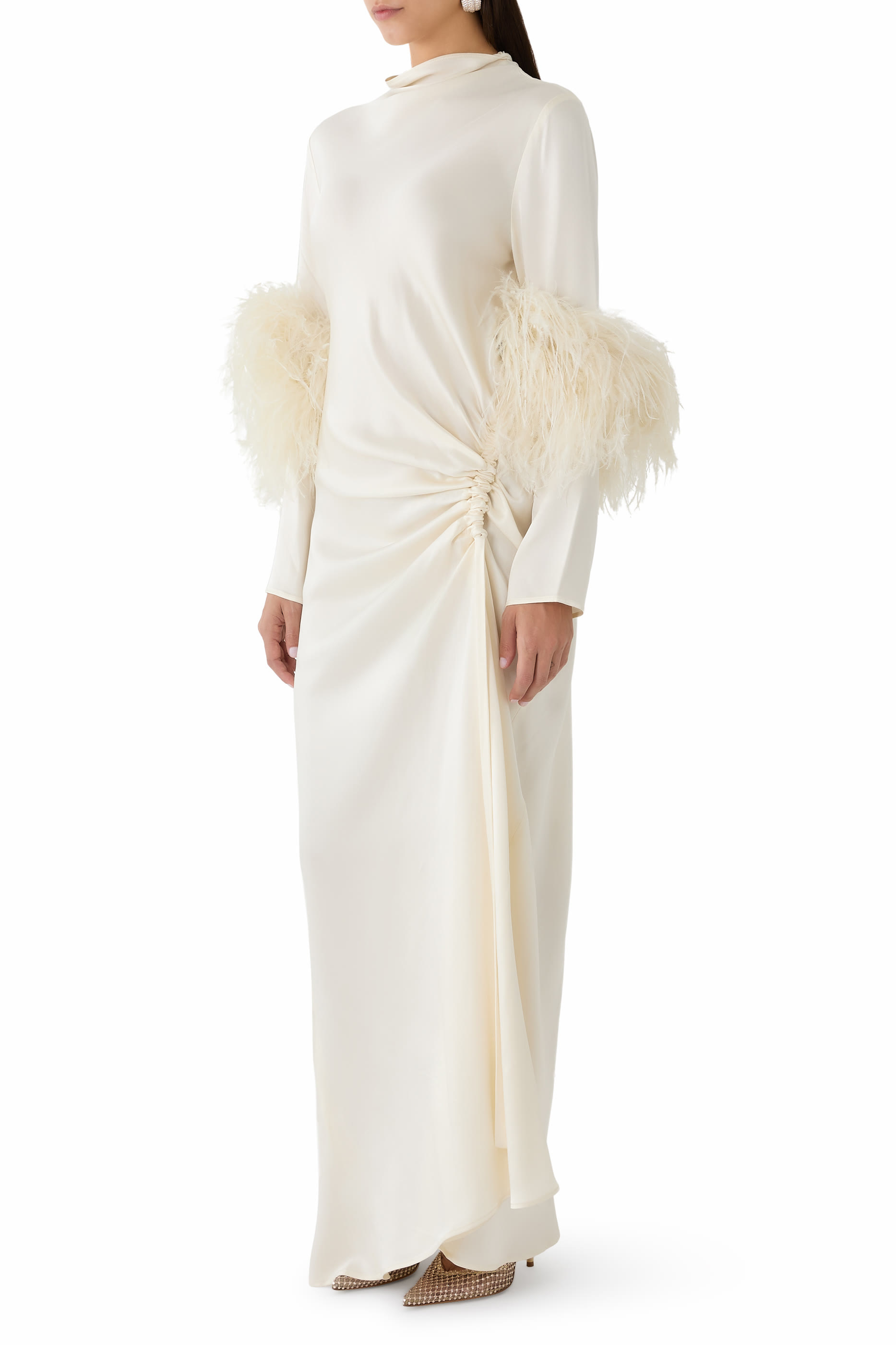 Feathered Sleeves Gown