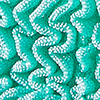 Turquoise/Aqua