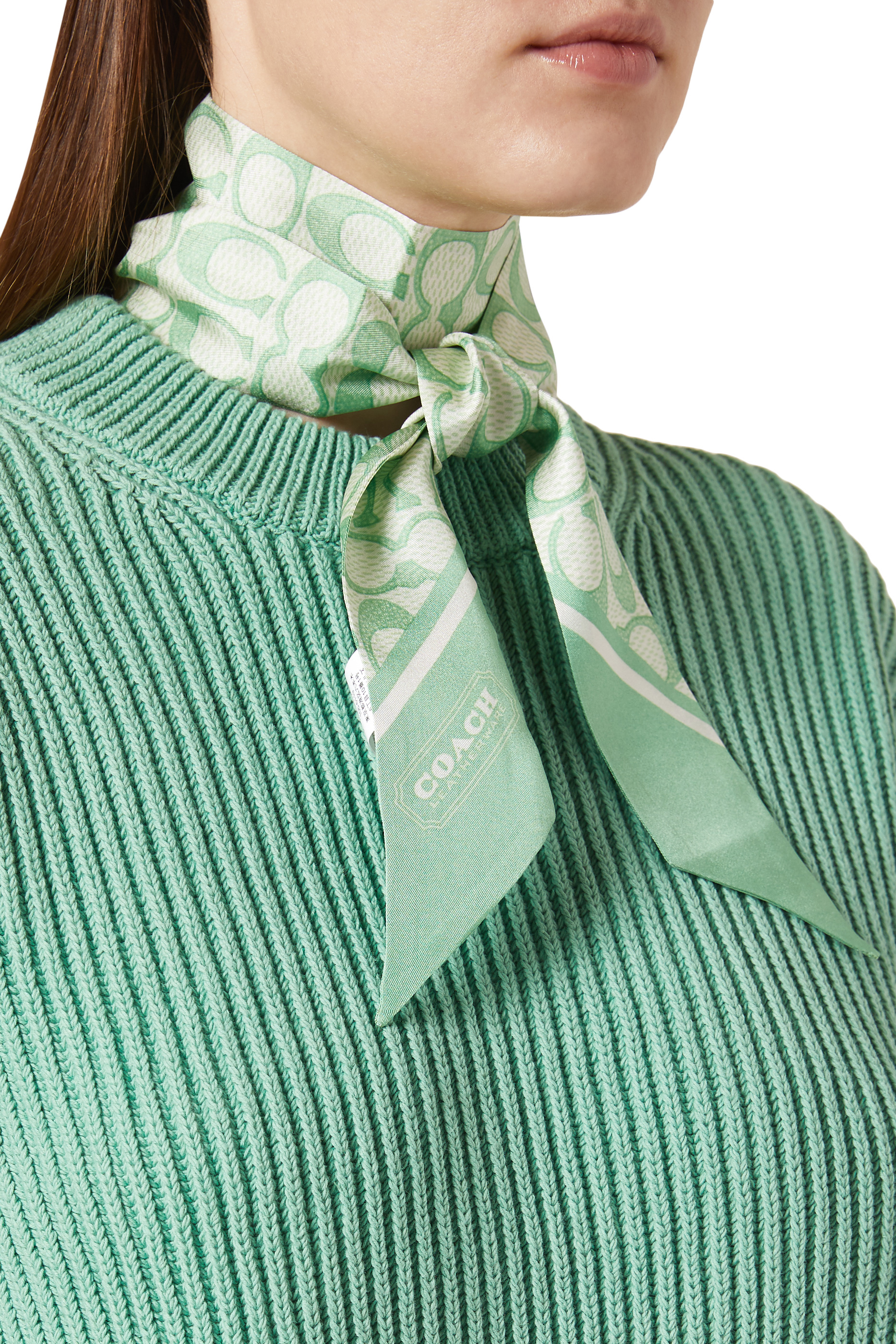 Vintage Signature C Printed Silk Skinny Scarf