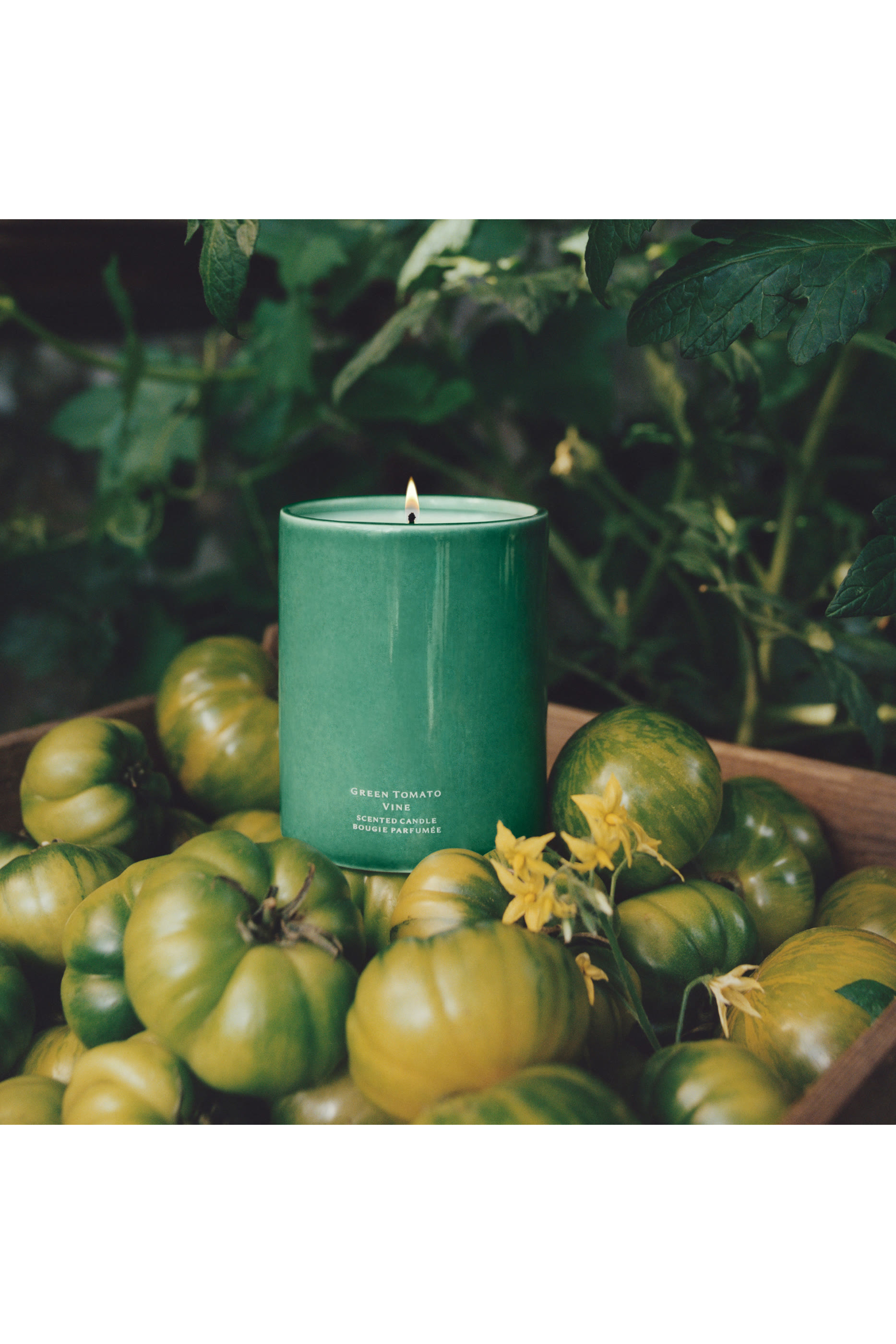 Green Tomato Vine Townhouse Candle