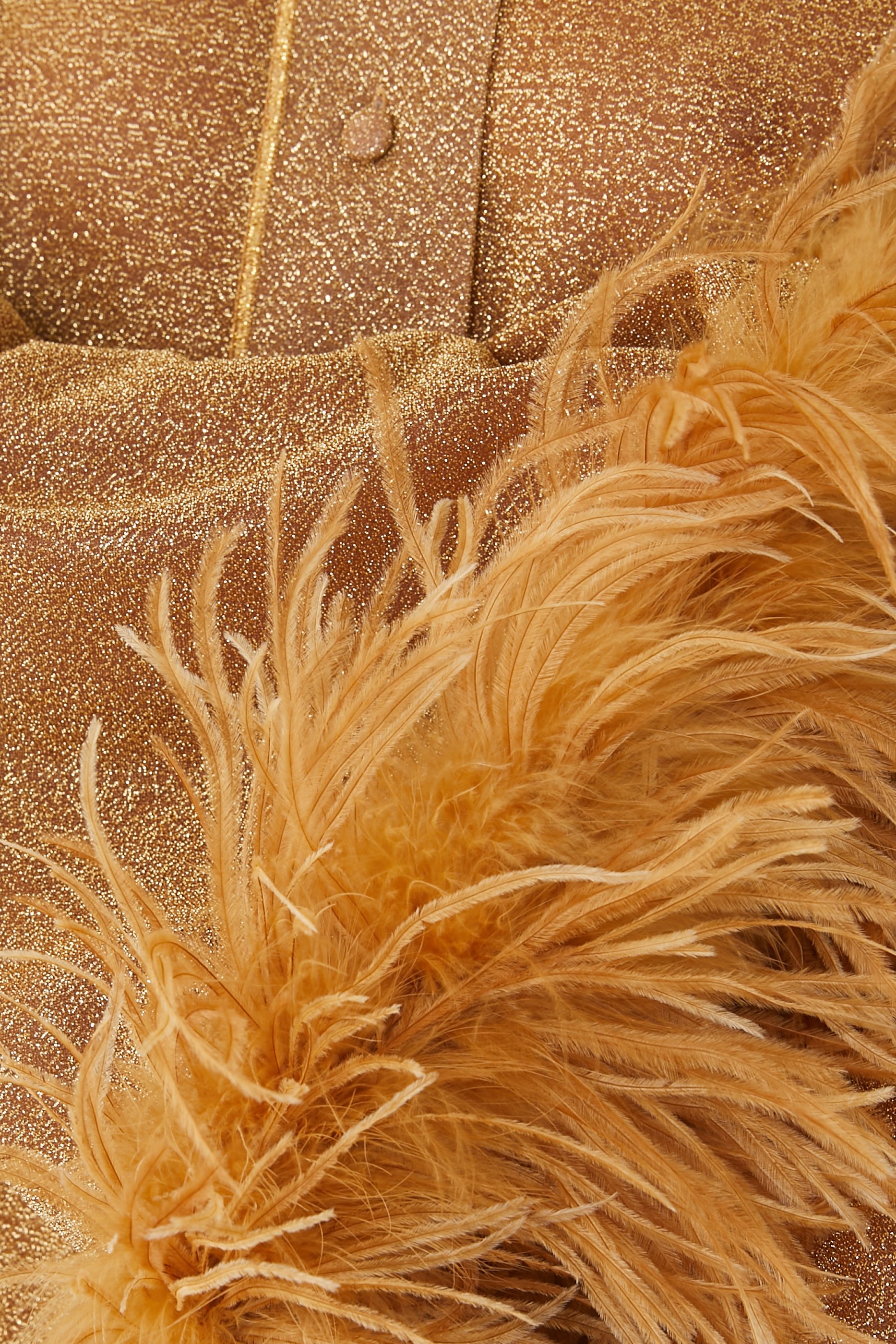 Lumiere Plumage Feather-Trim Shirt