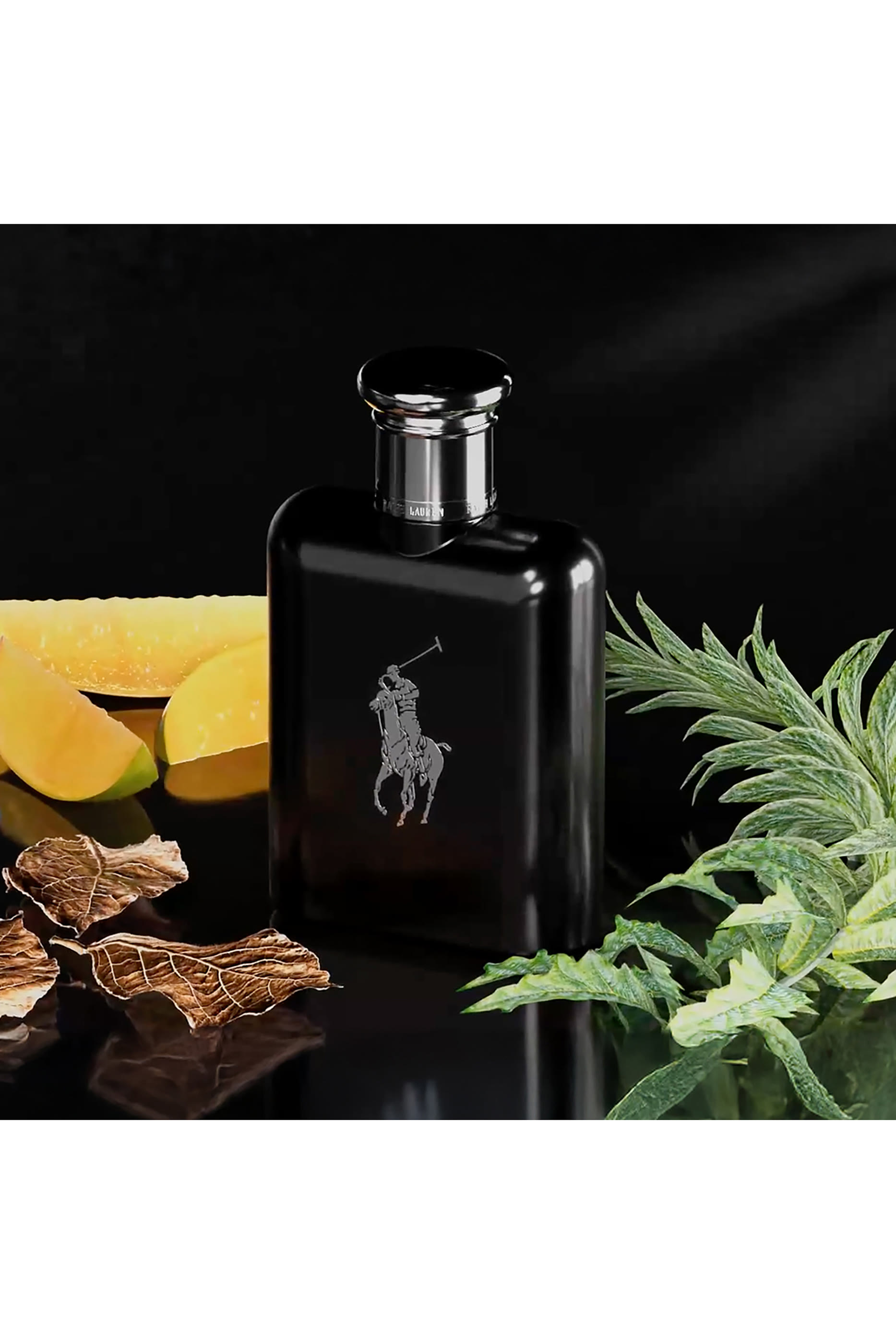 Polo Black Eau de Toilette