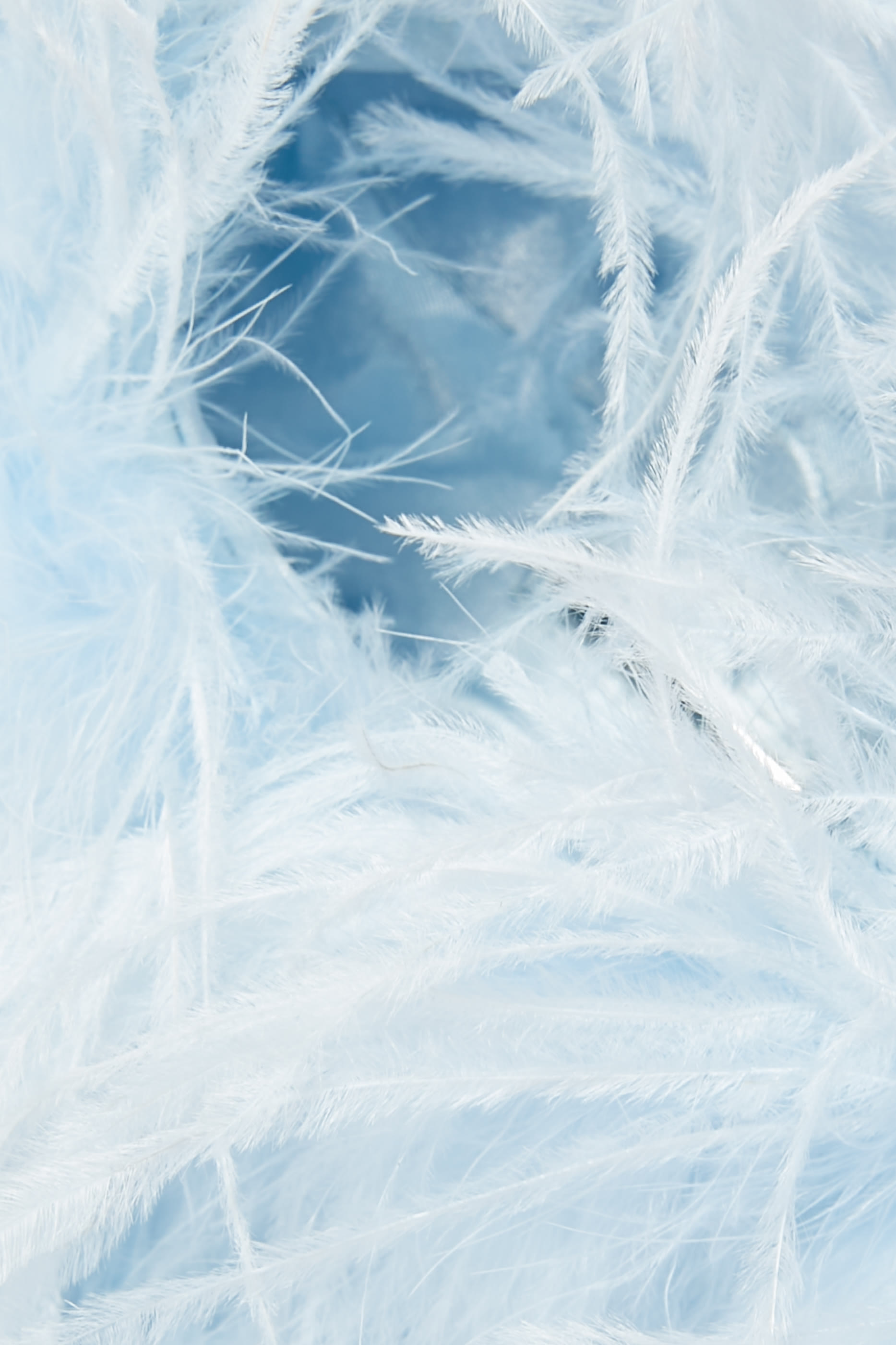 Taliya Feather Pouch