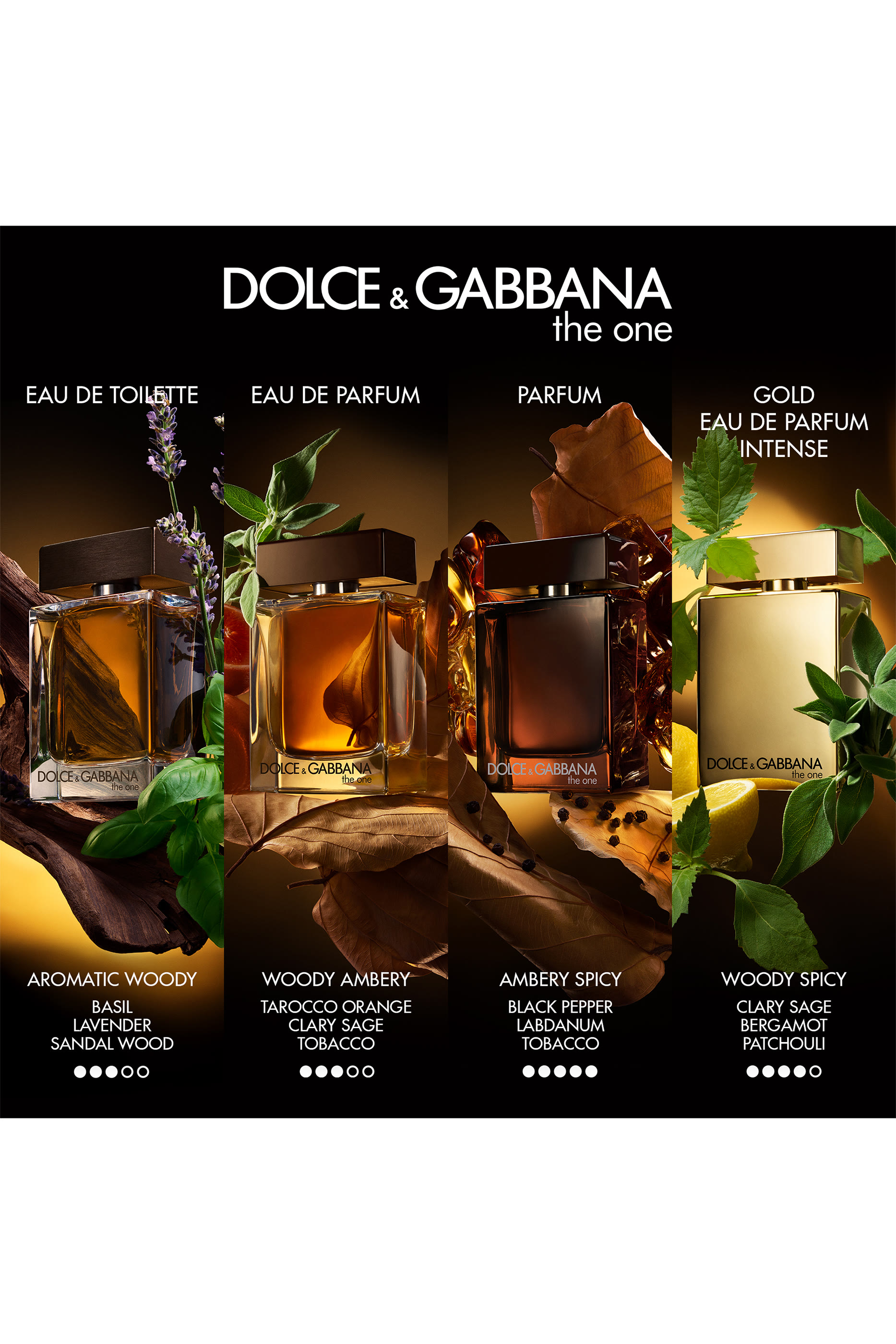 The One for Men Eau de Parfum 