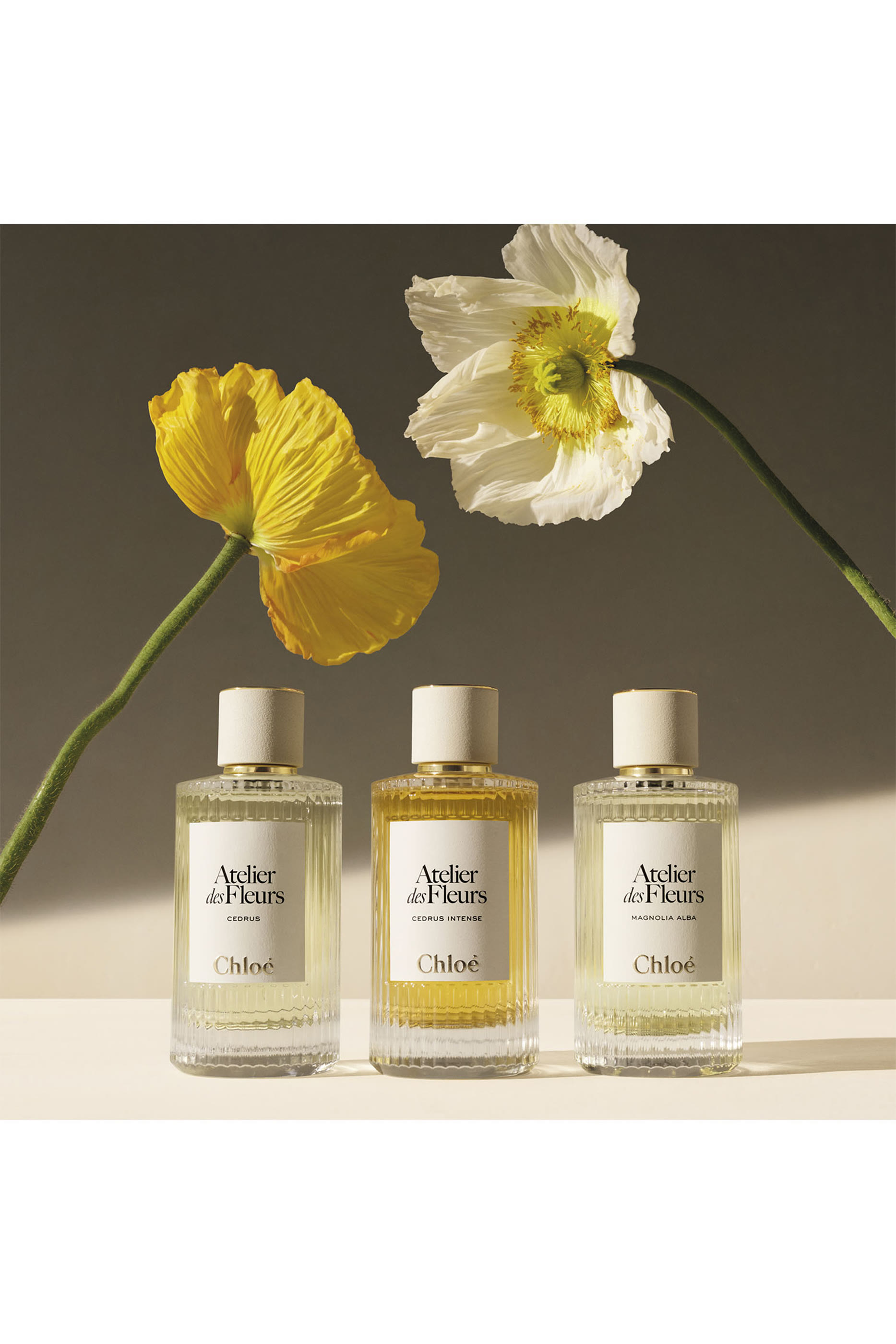 Atelier des Fleurs Hysope Eau De Parfum