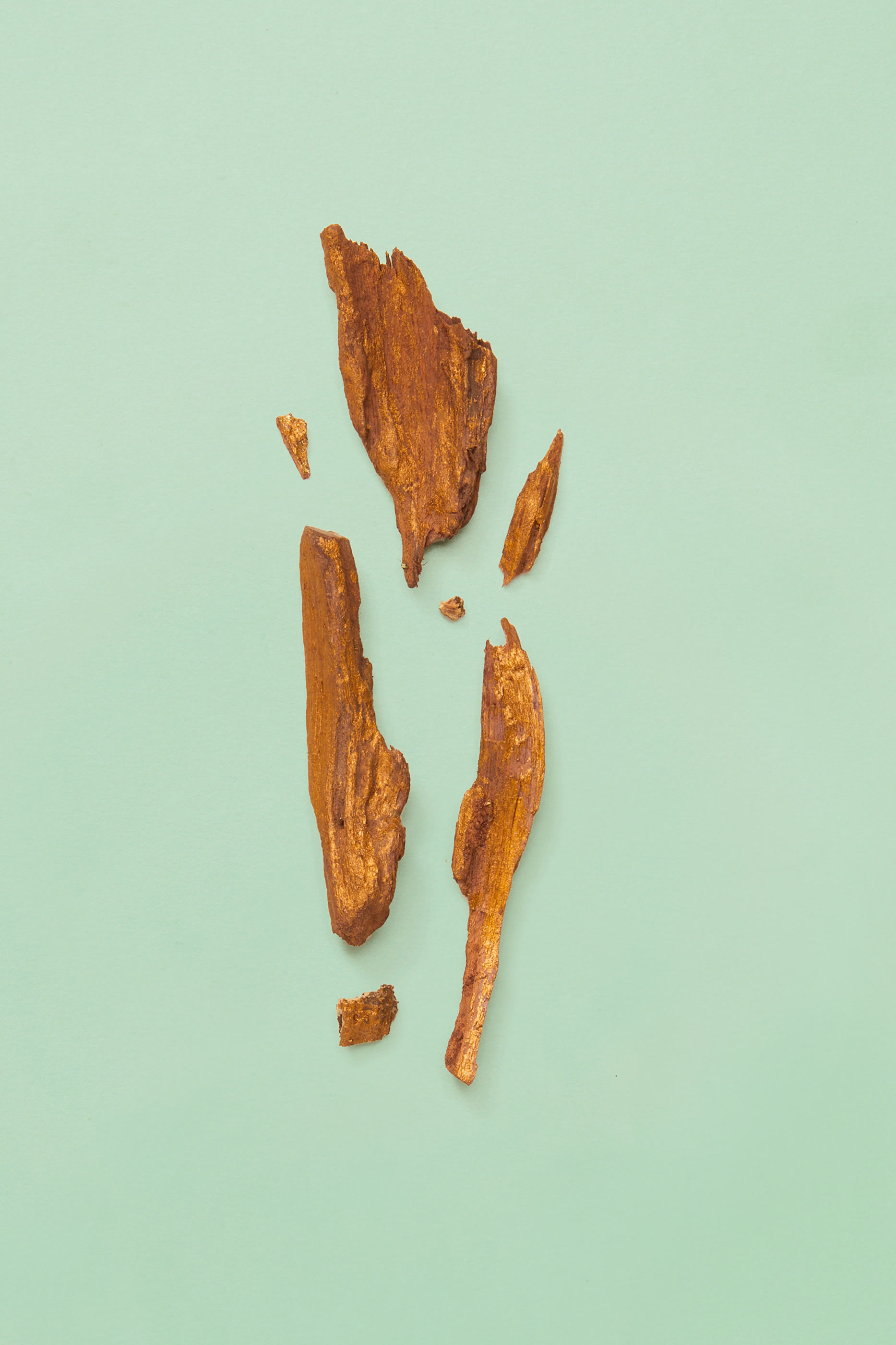 Guilty Absolute Pour Homme