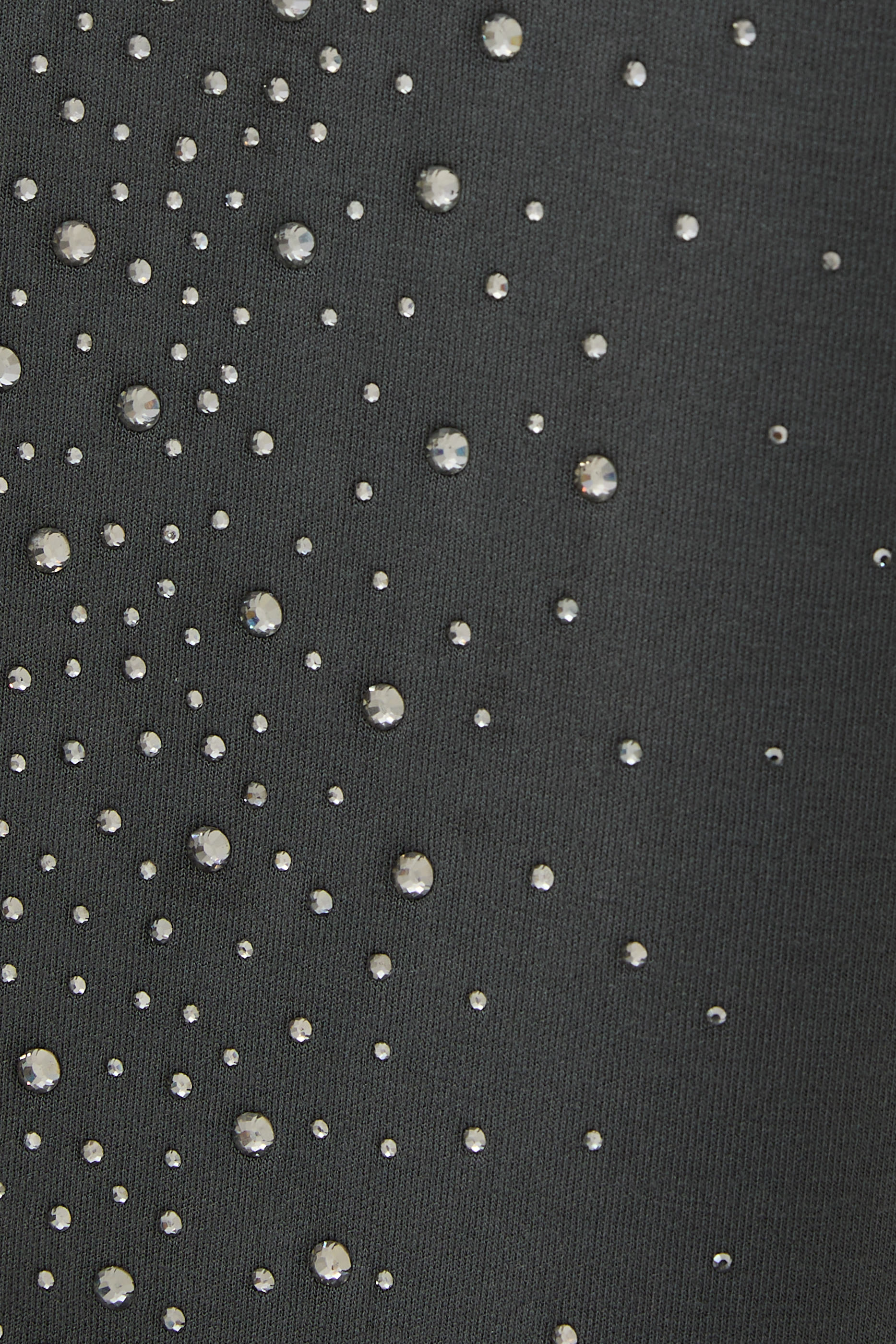  Crystal Embellished Trousers