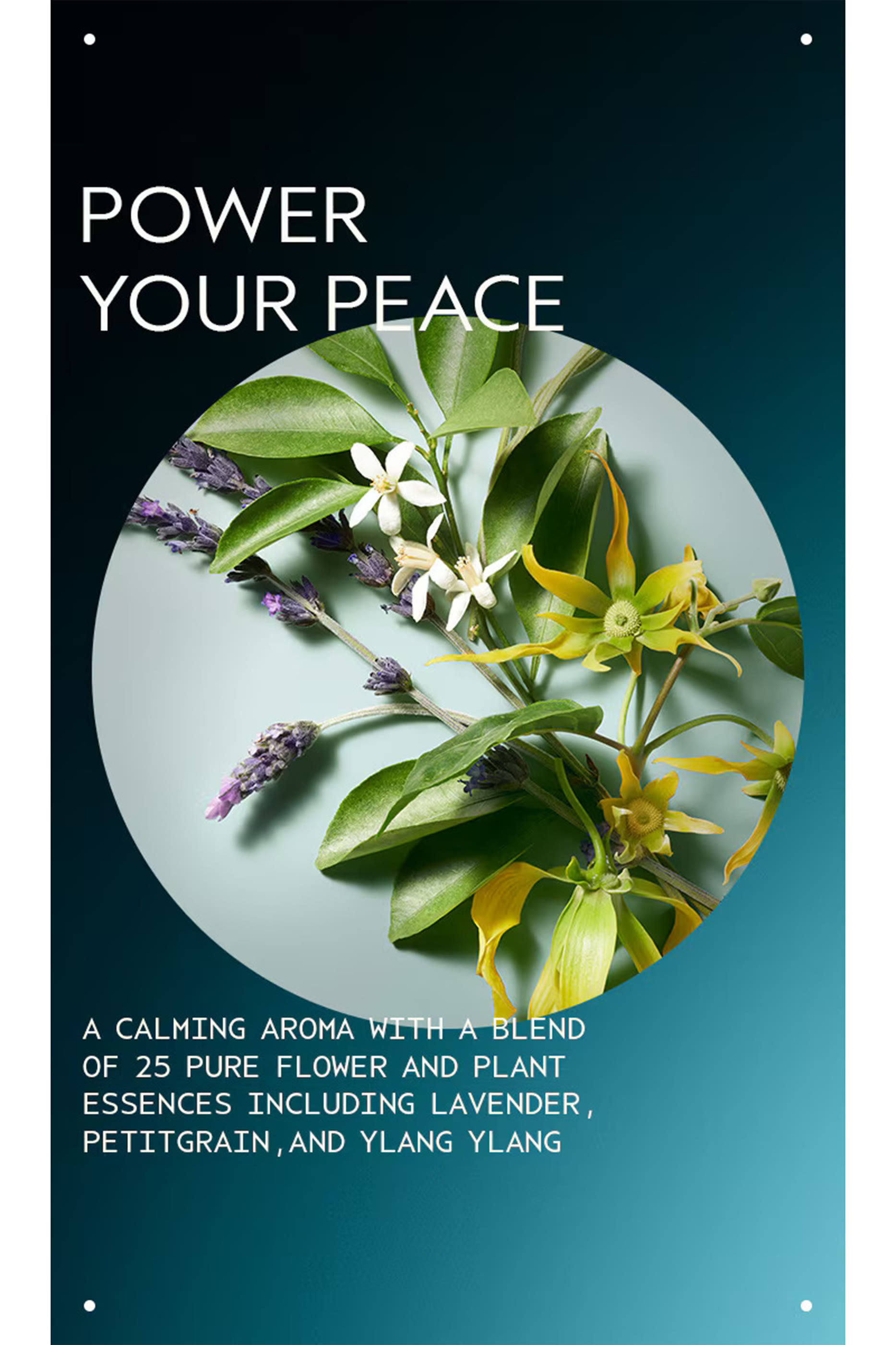 Shampowder™ Dry Shampoo