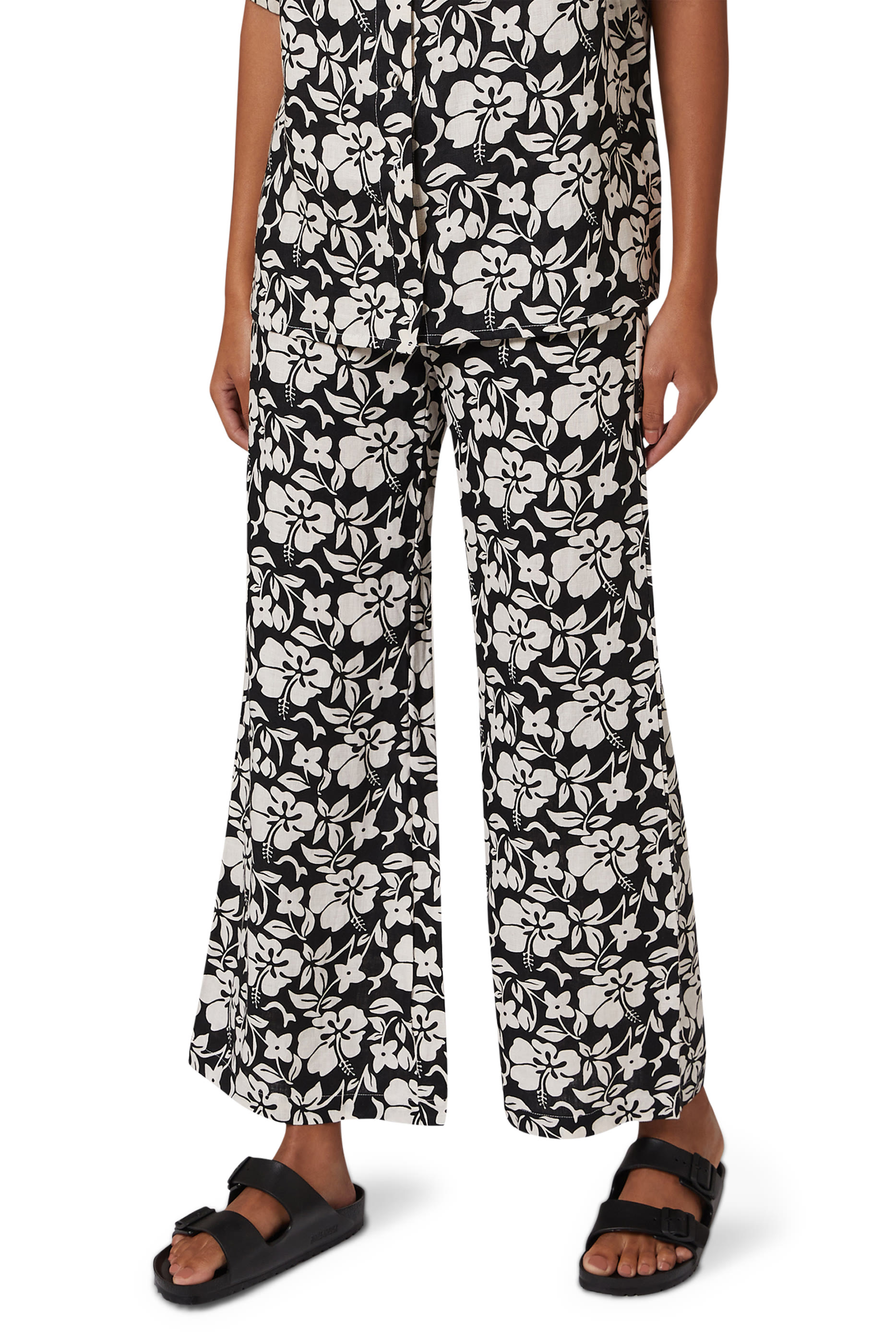 Arizona Essentials EVA Slides