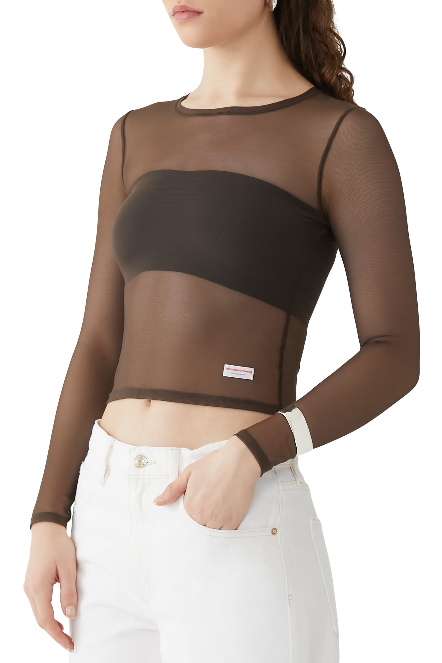 Mesh Long Sleeves Top