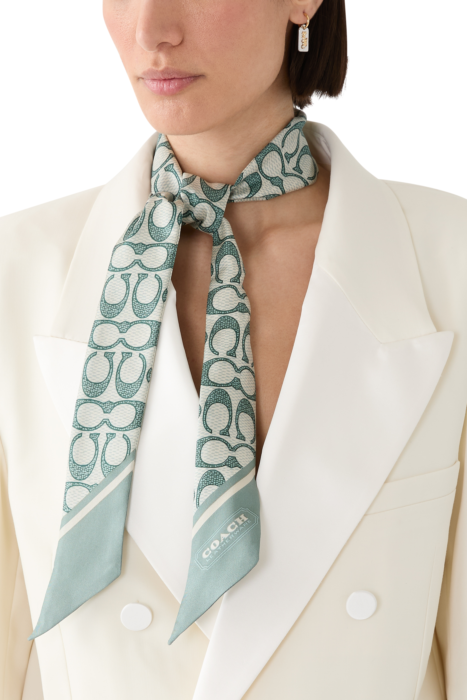 Vintage Signature C Printed Silk Skinny Scarf