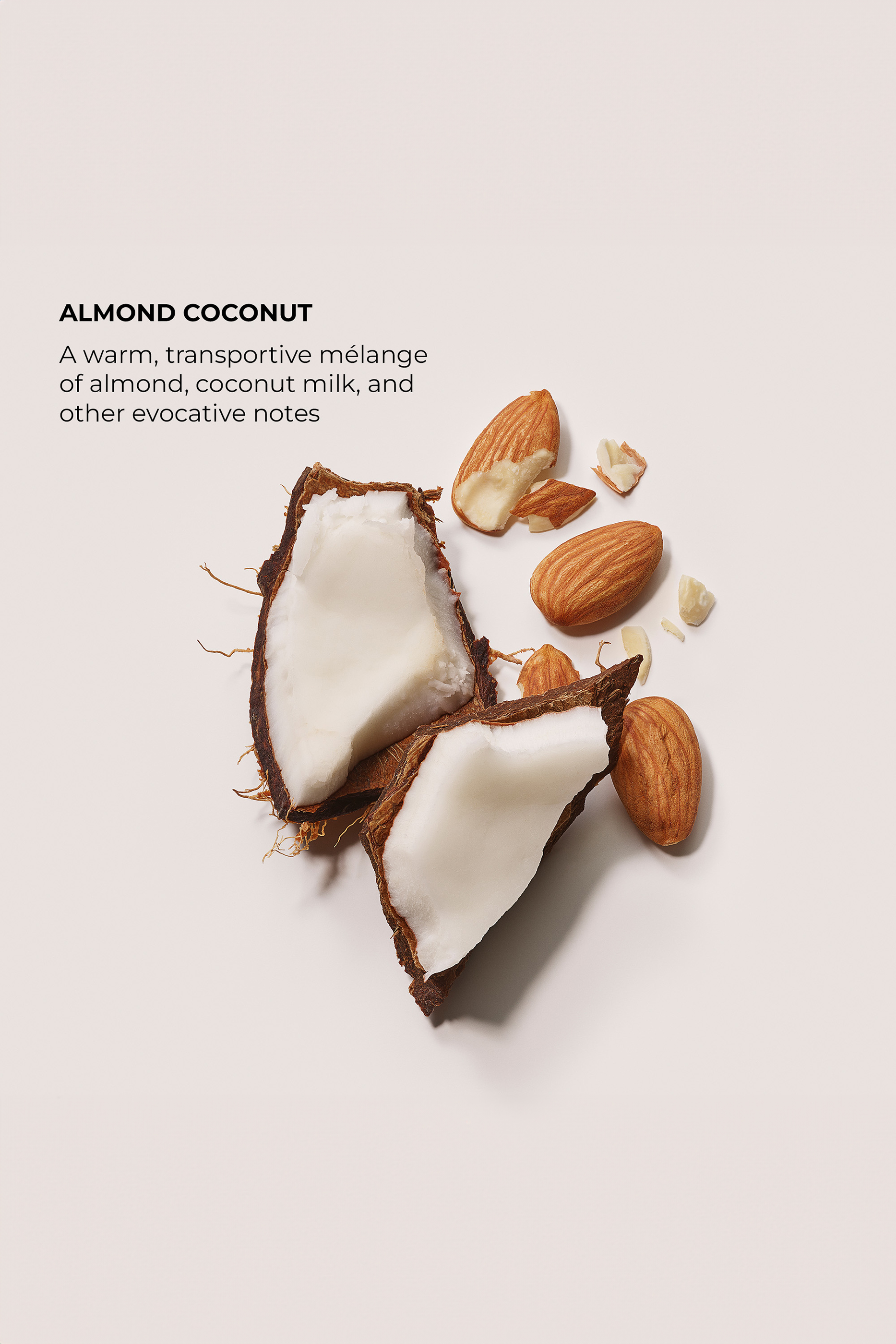 The Daydreamer's Indulgence Almond Coconut Collection Set
