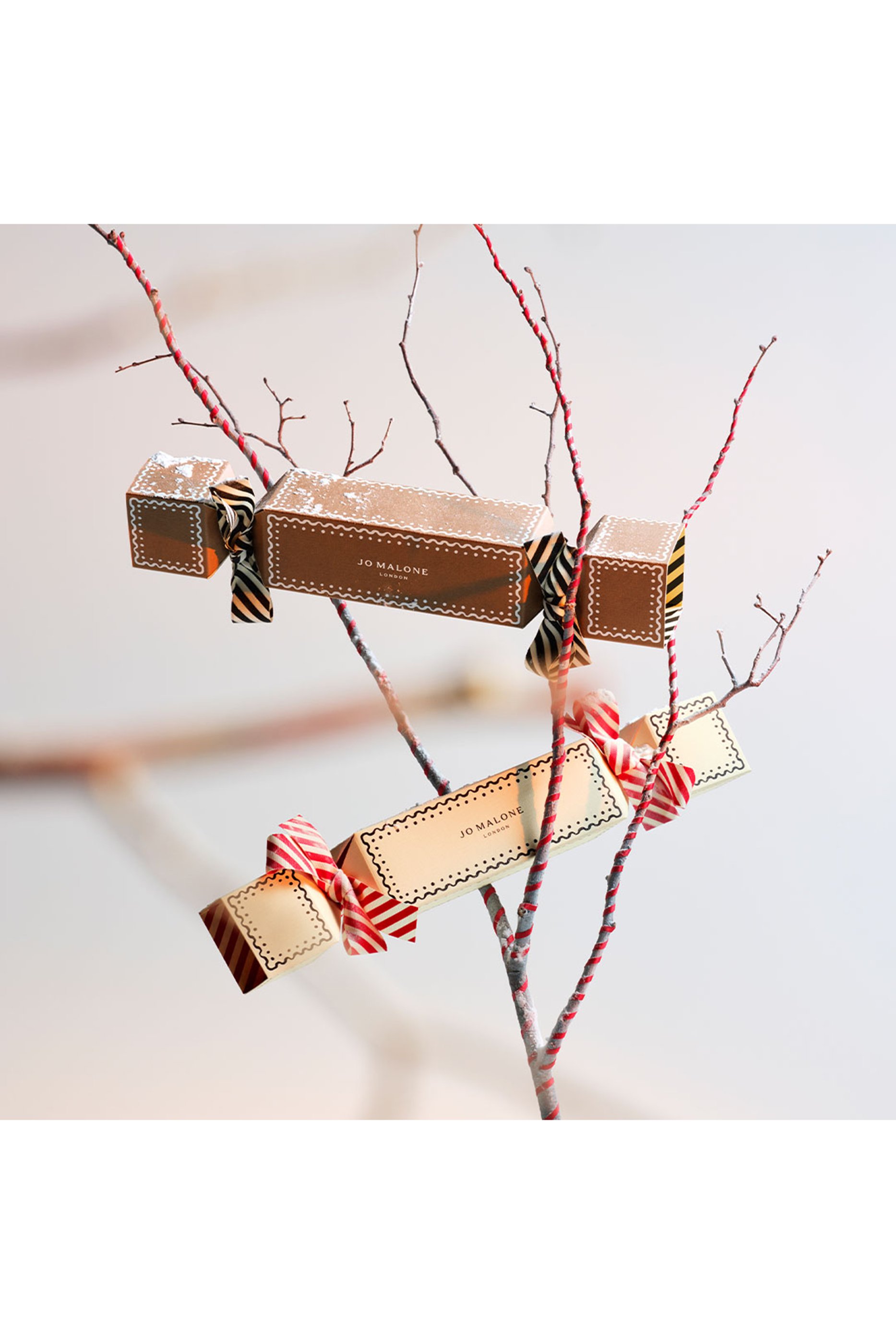 Holiday Christmas Cracker