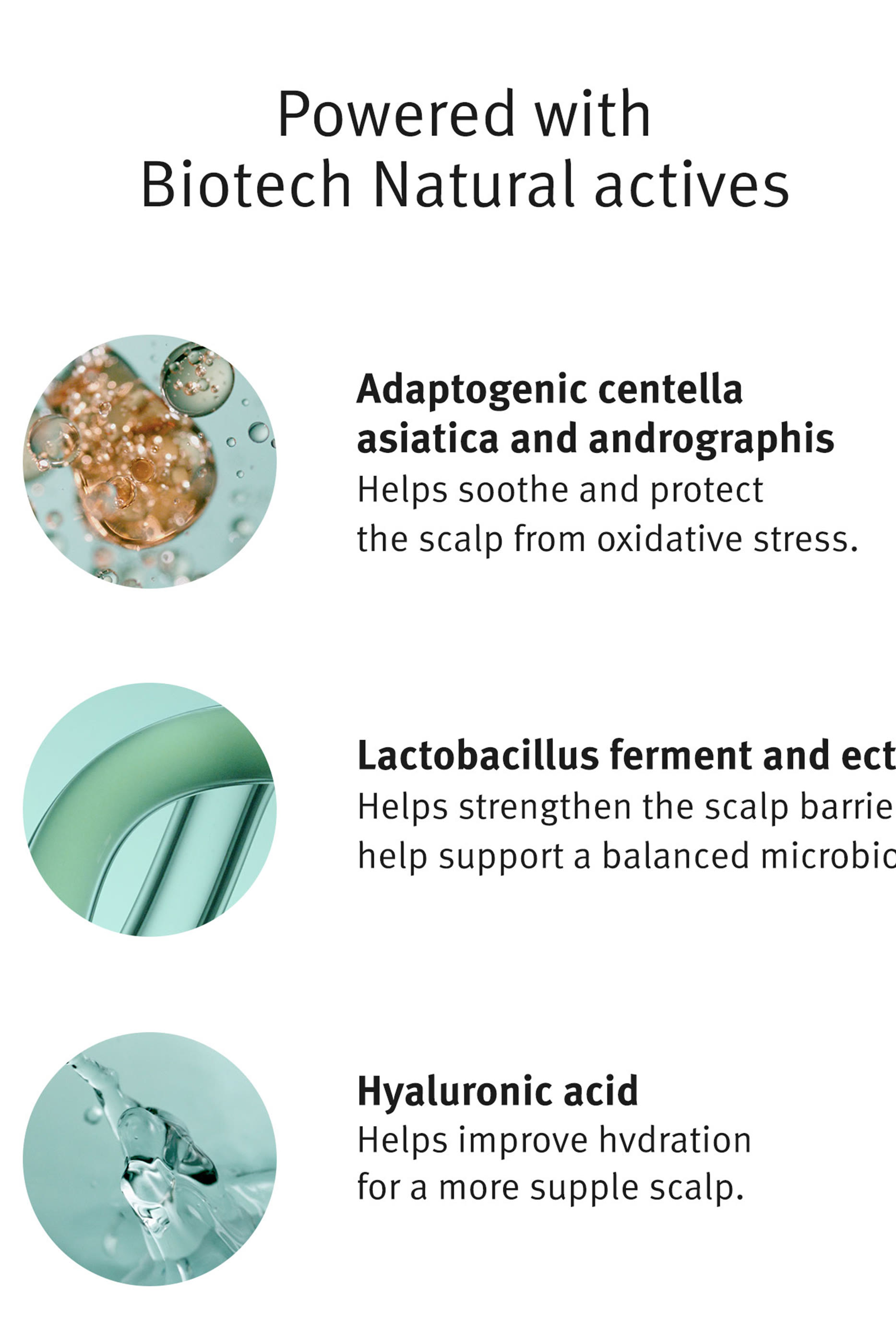 Scalp Solutions Overnight Scalp Renewal Serum