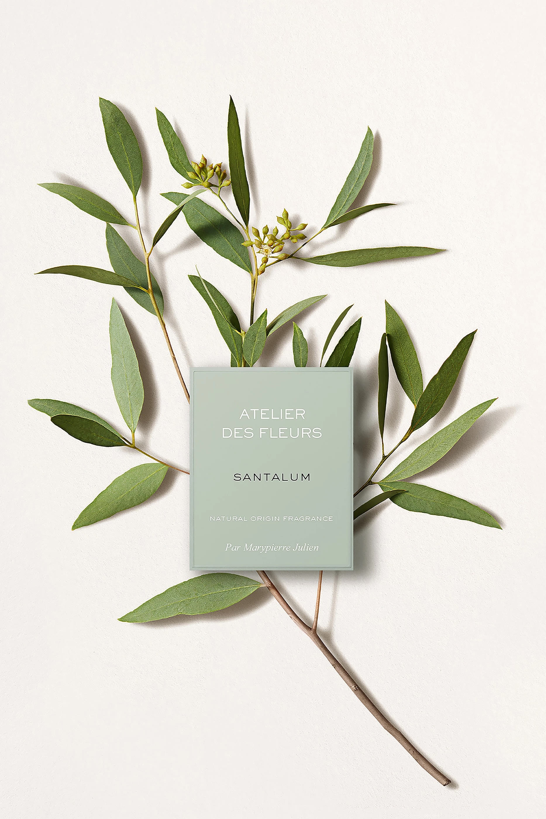Atelier Des Fleurs Santalum Eau De Parfum