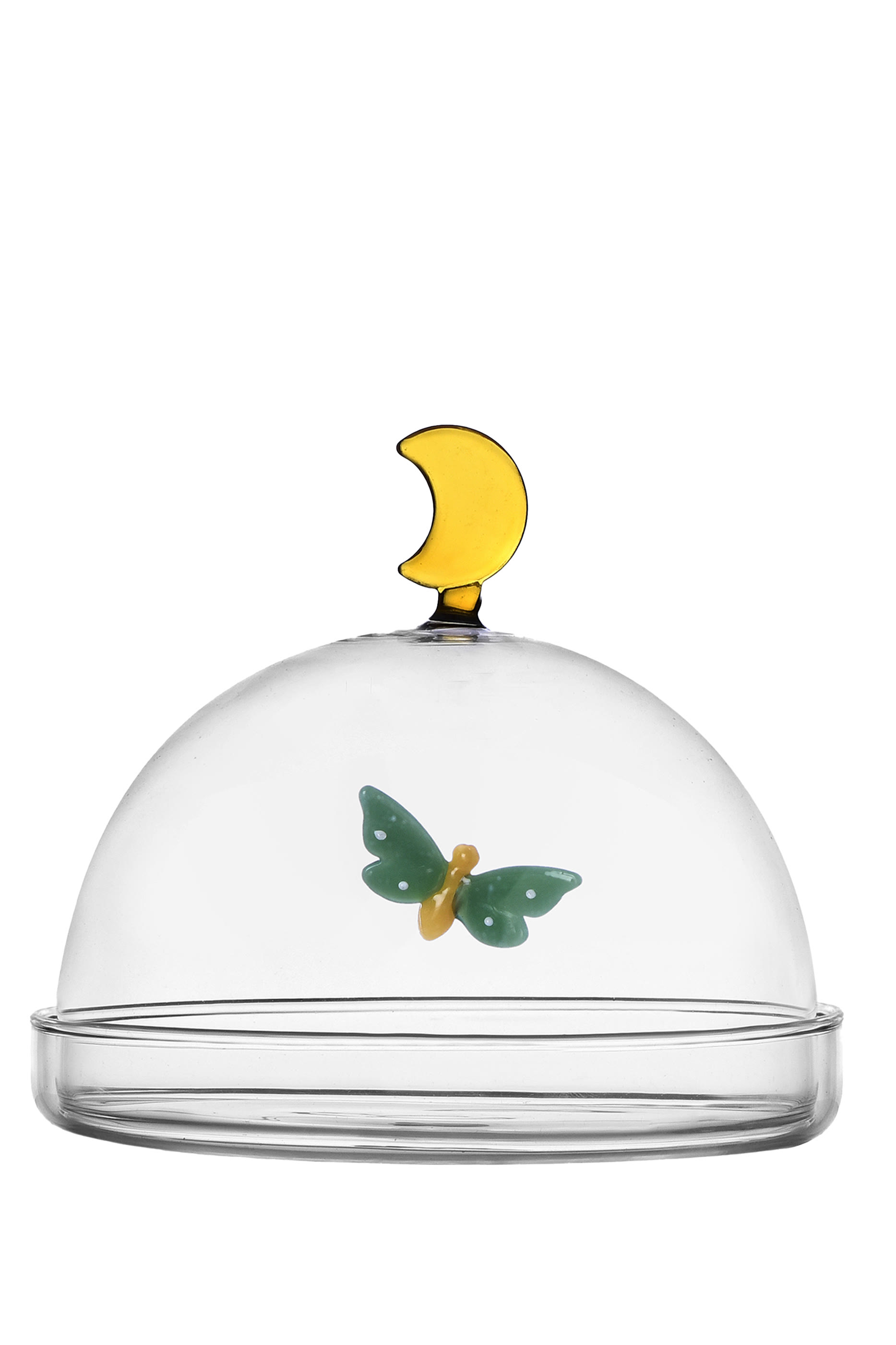 Butterfly and Moon Dome with Dish